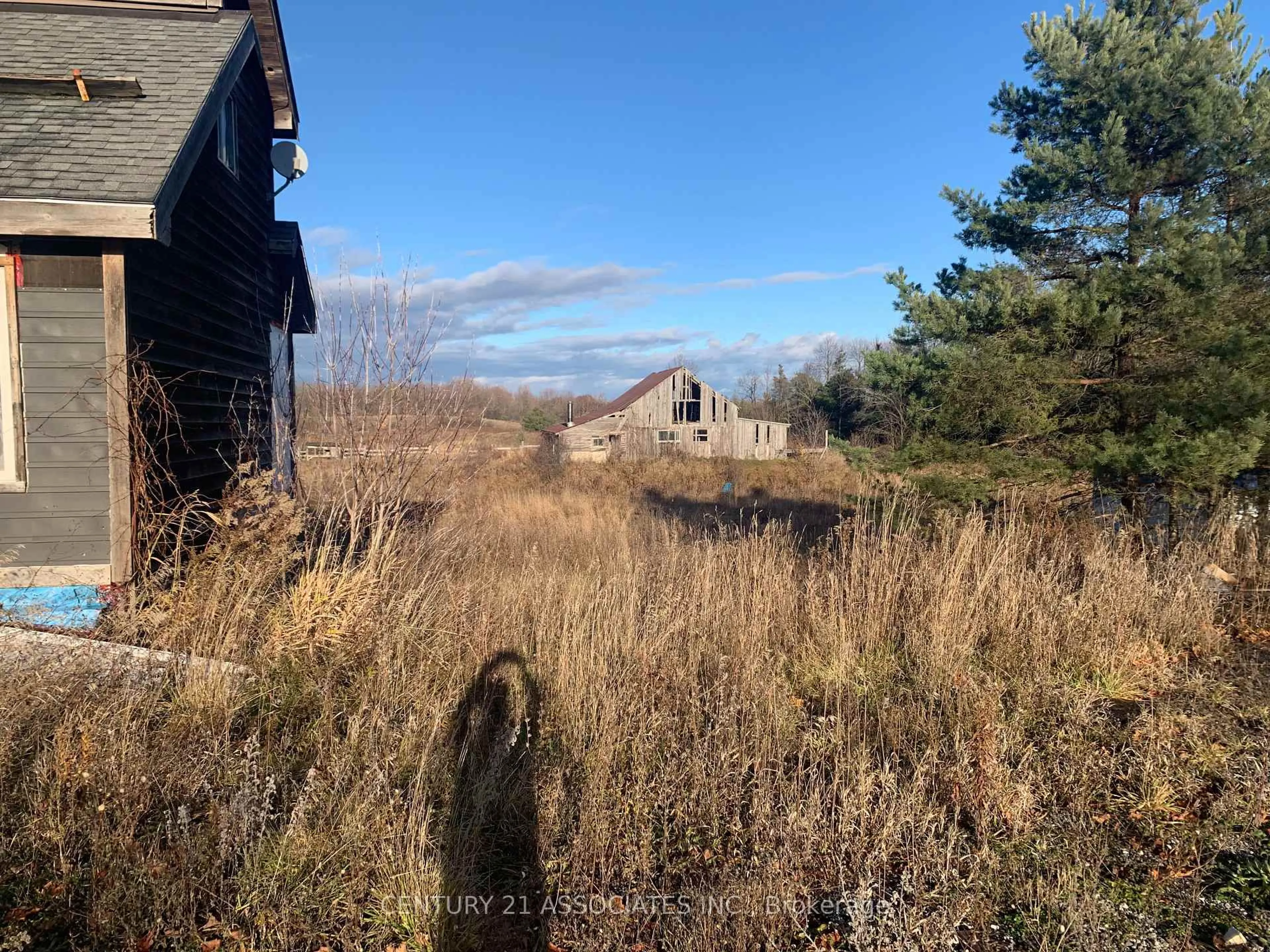 A pic from outside/outdoor area/front of a property/back of a property/a pic from drone, forest/trees view for 5211 Wellington Rd 24 Rd, Erin Ontario N0B 1T0