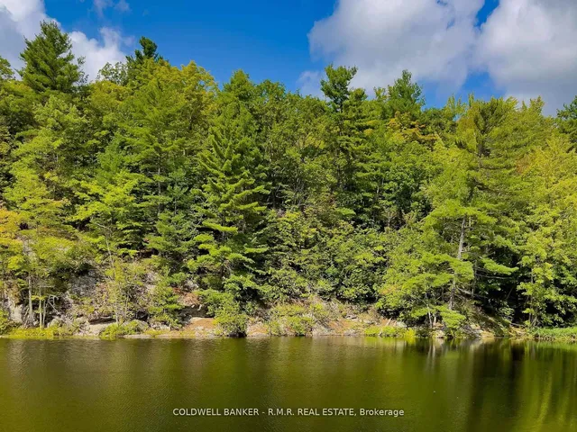 8860 County Rd 41, Kaladar 5