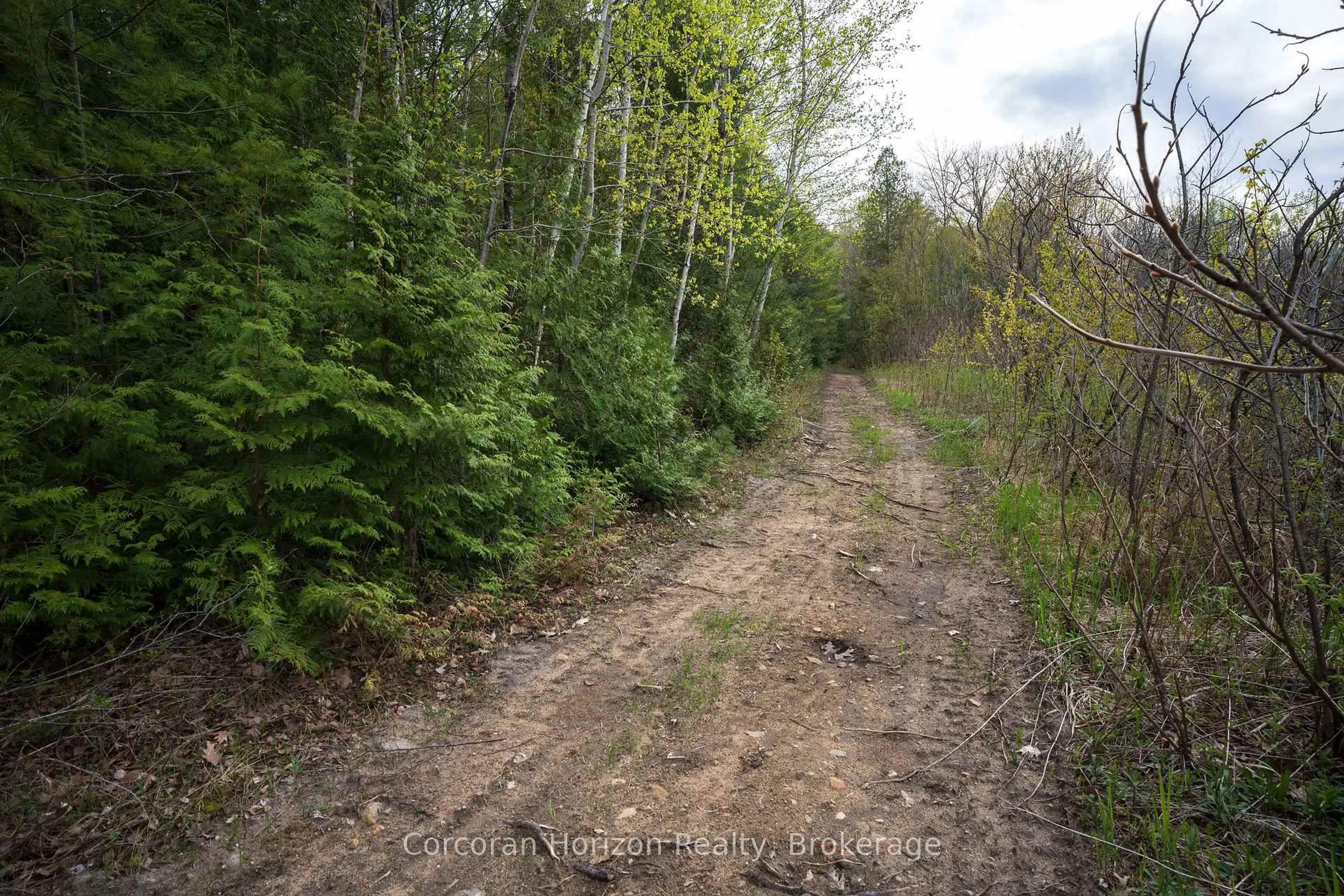 Blurry image for 9316 Georgian Bay Shore Rd, Georgian Bay Ontario P0E 1E0