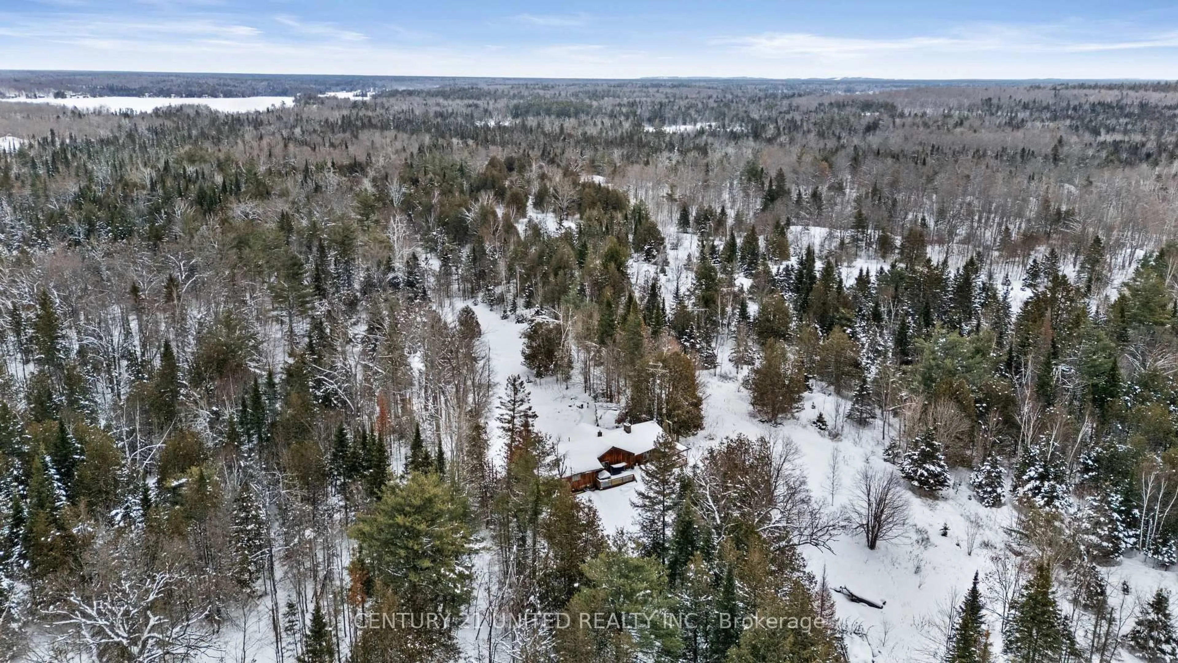 A pic from outside/outdoor area/front of a property/back of a property/a pic from drone, forest/trees view for 257 Big Cedar Lake Rd, North Kawartha Ontario K0L 2H0