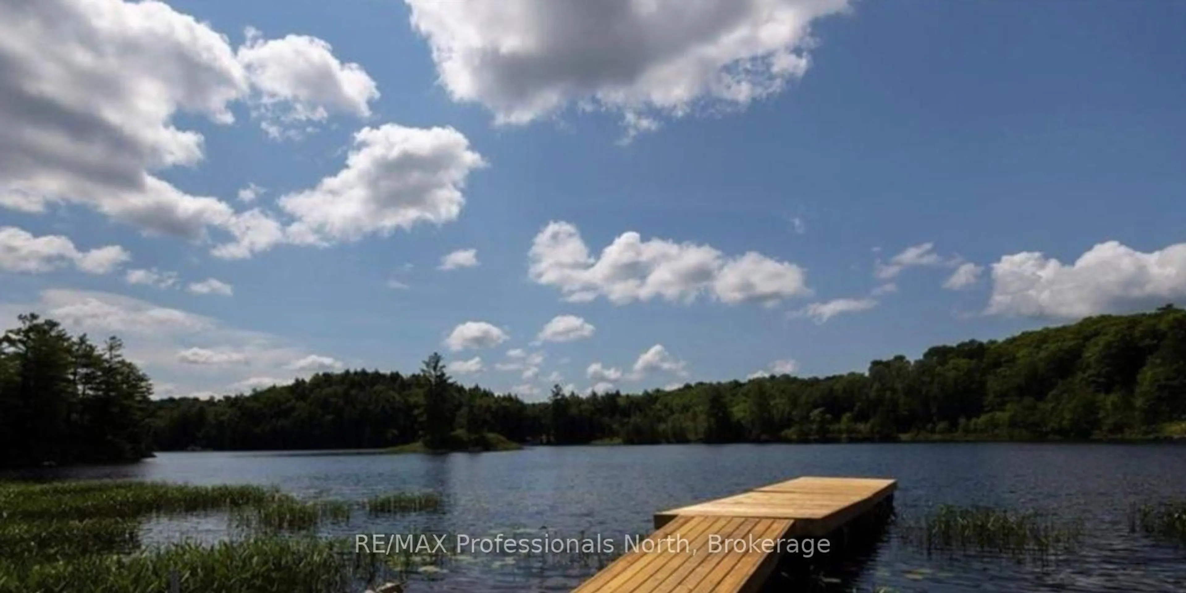 Blurry image for 1023 Ril Lake Rd, Lake of Bays Ontario P0B 1A0