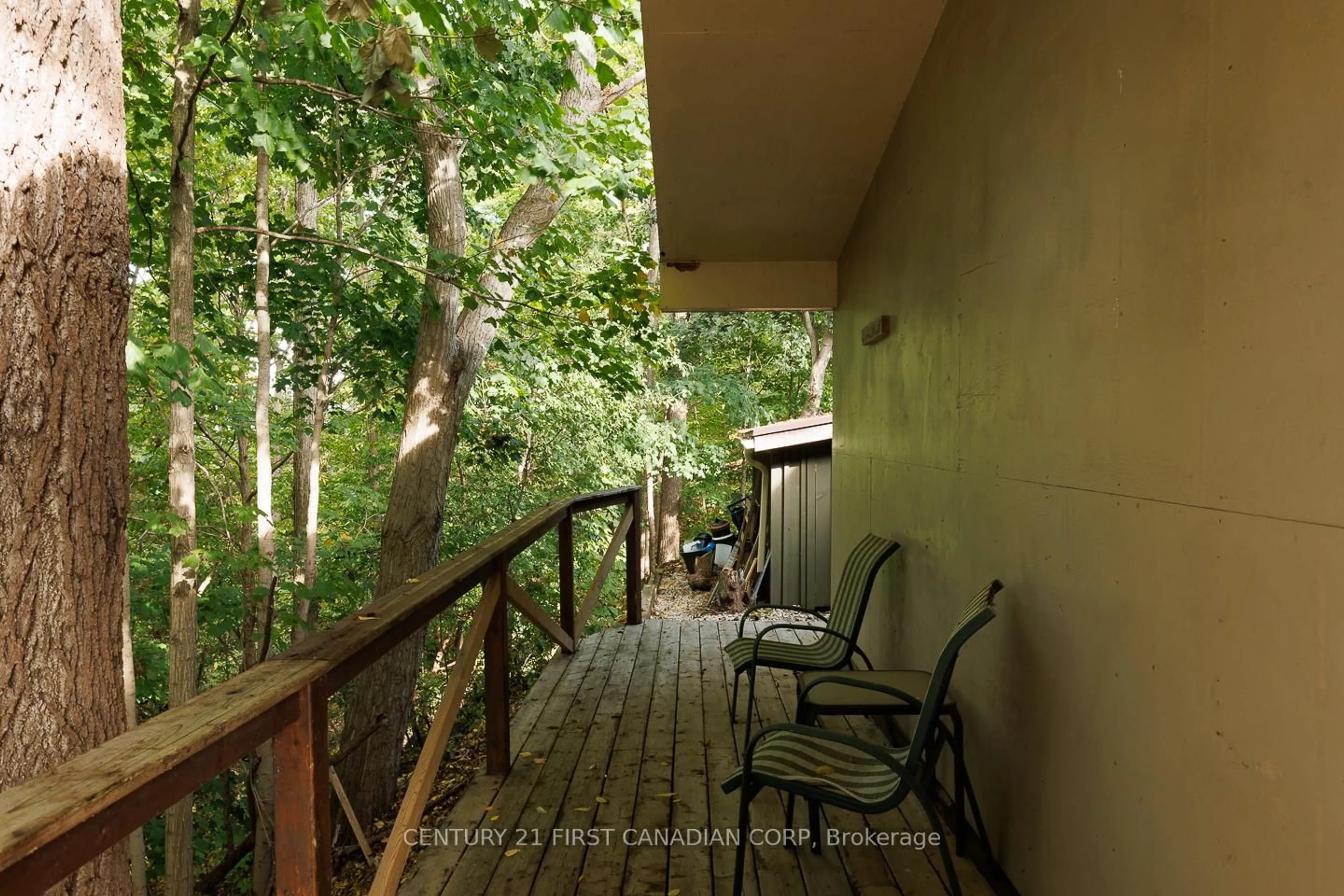 Patio, forest/trees view for 297 Alma St, St. Thomas Ontario N5P 3B9