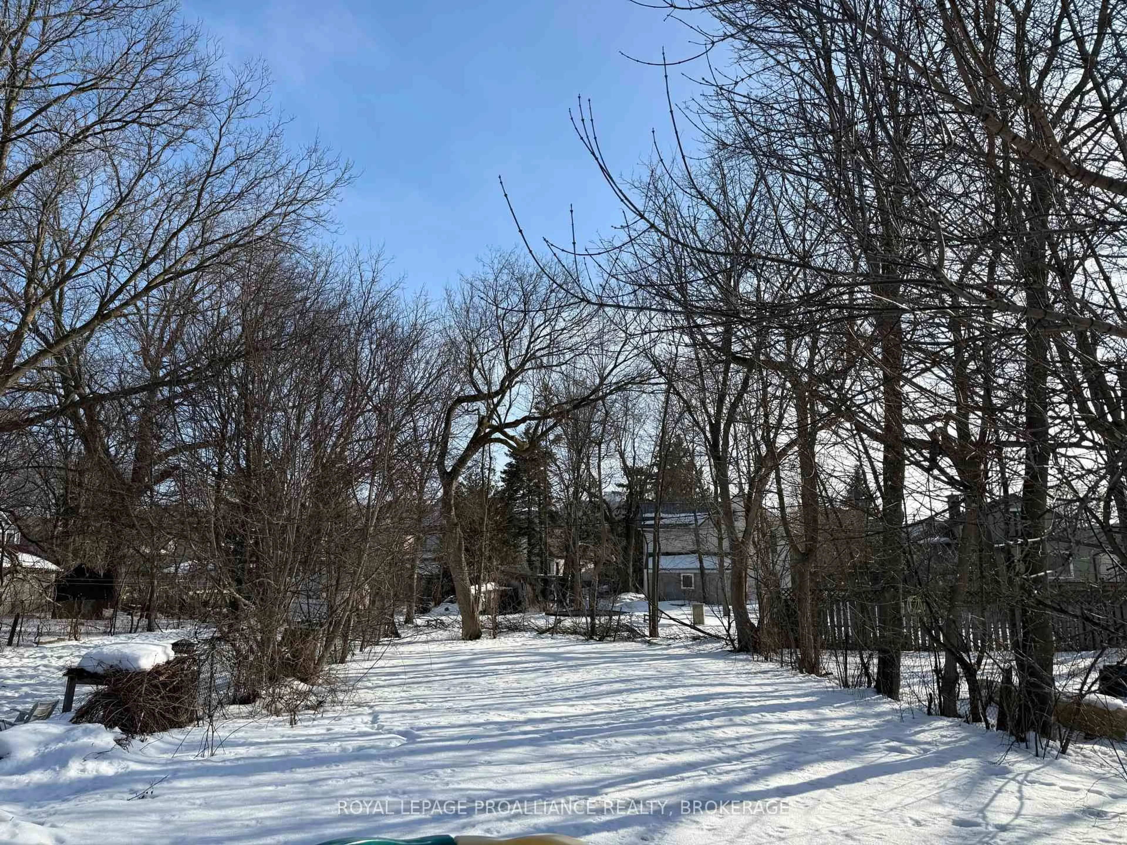 A pic from outside/outdoor area/front of a property/back of a property/a pic from drone, forest/trees view for 196 York St, Kingston Ontario K7K 1R4