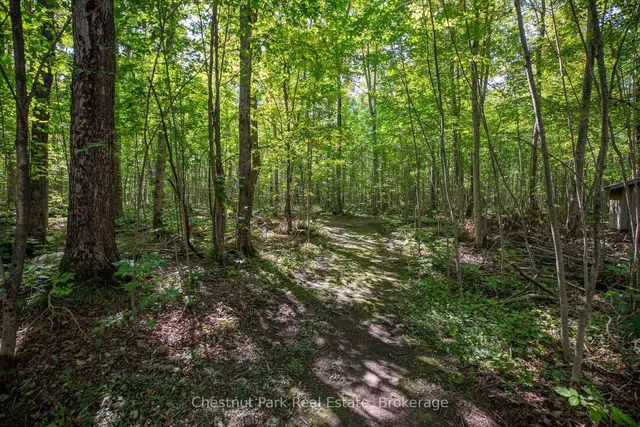 89 Tammys Cove Rd, Northern Bruce Peninsula 5