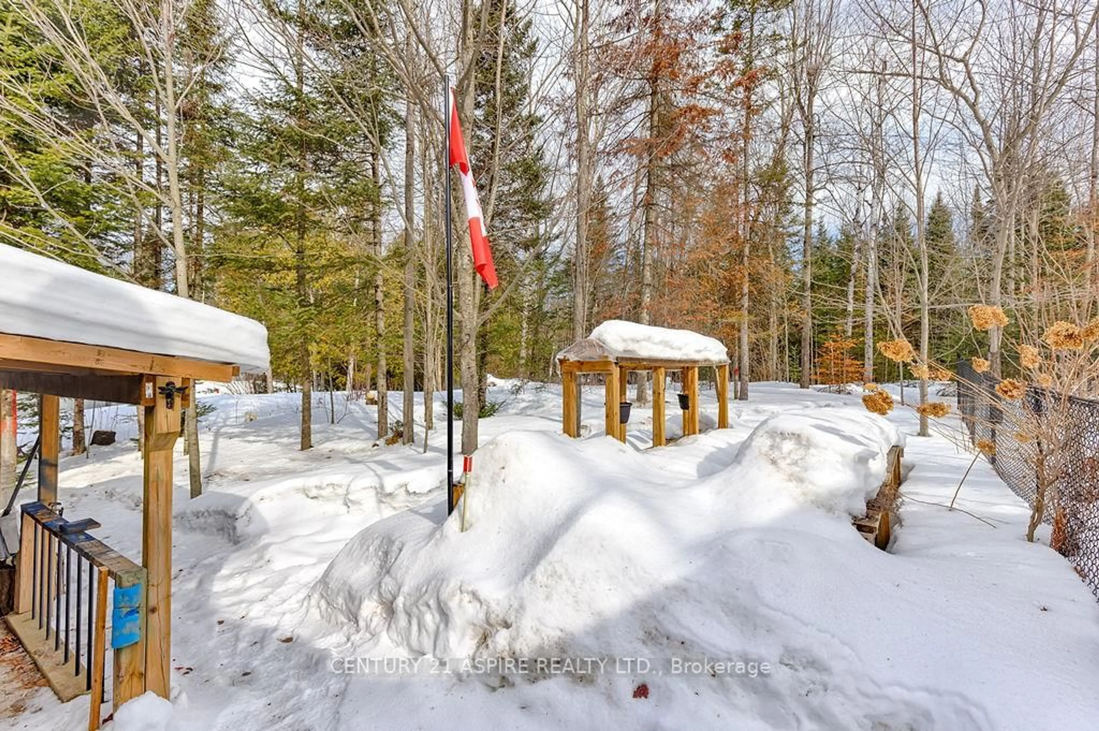 Patio, forest/trees view for 1576 Garden Of Eden Rd, Renfrew Ontario K7V 3Z8