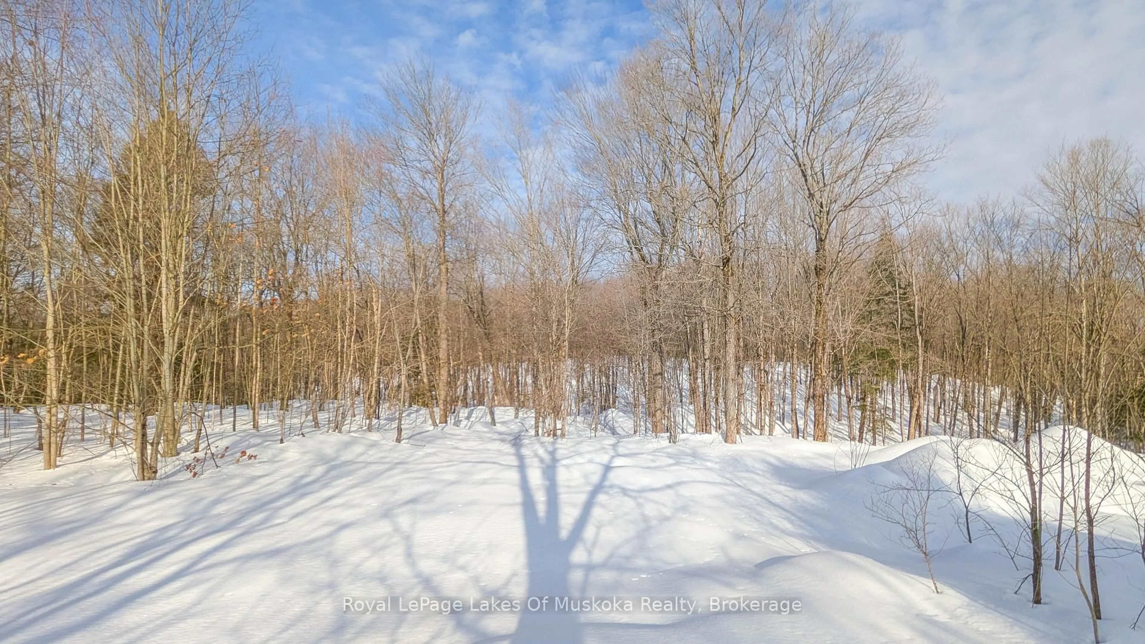 Blurry image for 1100 Raymond Rd, Muskoka Lakes Ontario P0B 1M0