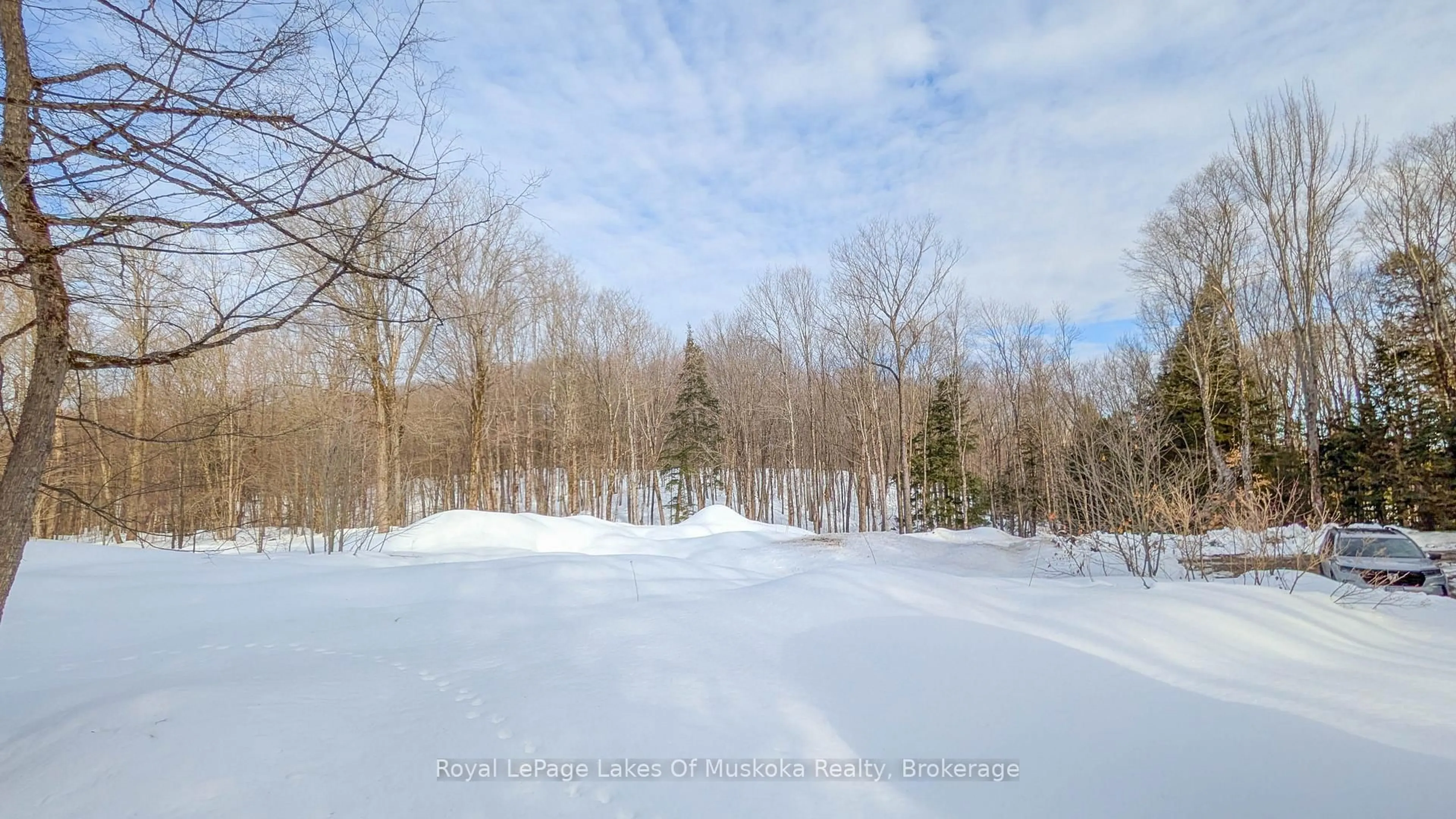 Blurry image for 1100 Raymond Rd, Muskoka Lakes Ontario P0B 1M0