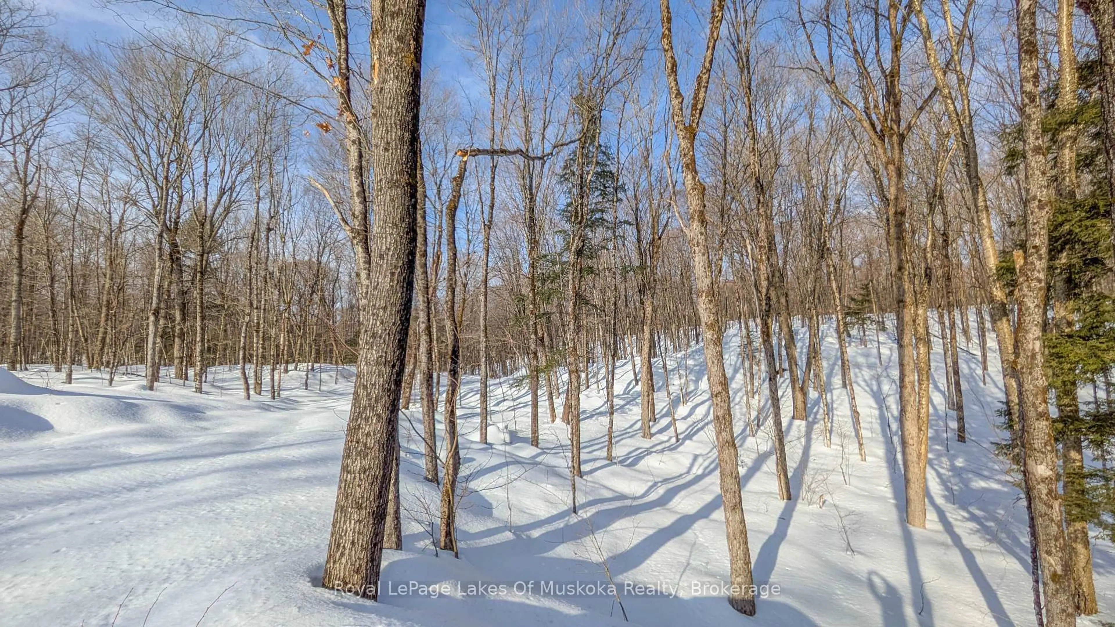 Blurry image for 1100 Raymond Rd, Muskoka Lakes Ontario P0B 1M0