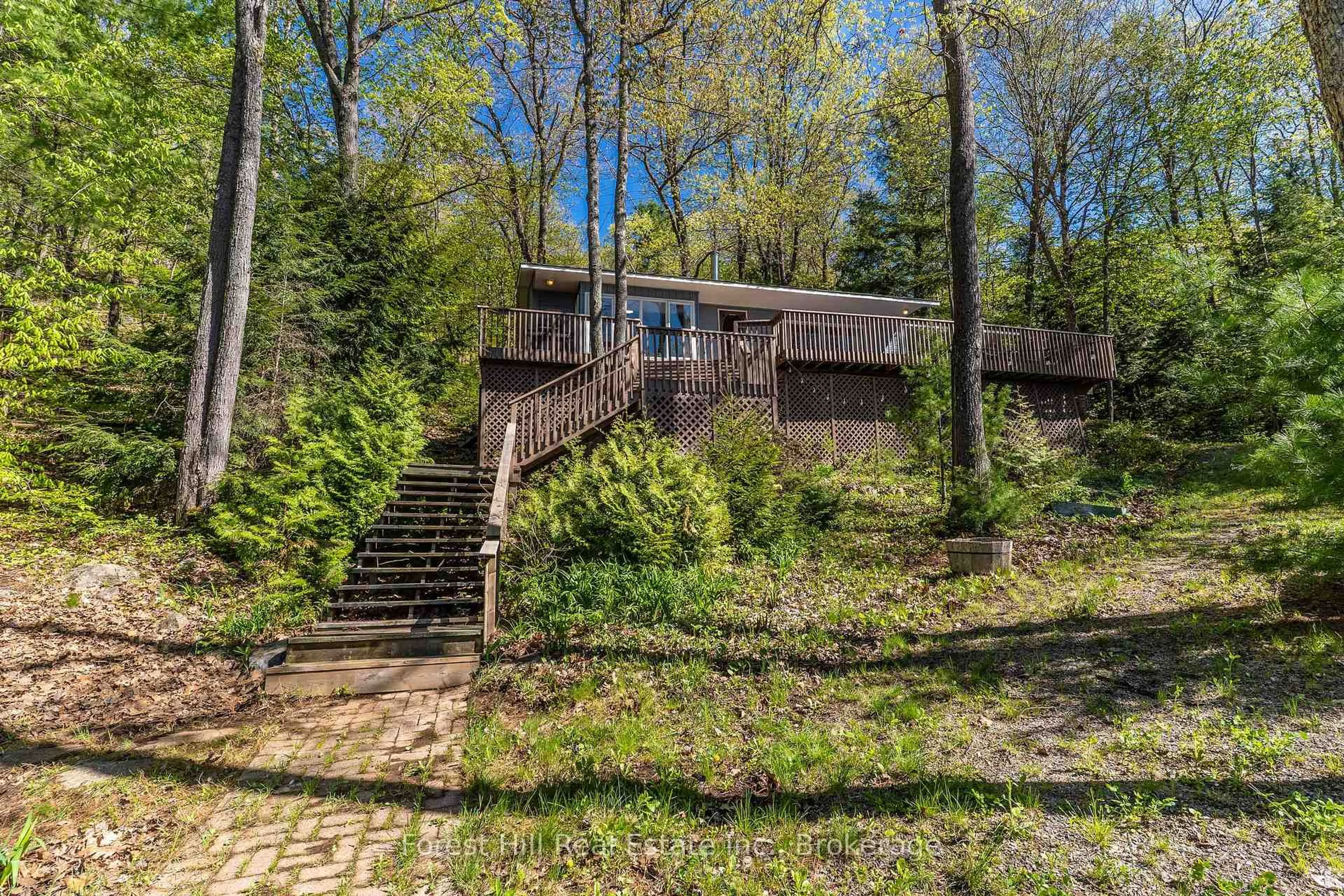 A pic from outside/outdoor area/front of a property/back of a property/a pic from drone, unknown for 48 Raven Lake, Lake of Bays Ontario P0B 1A0