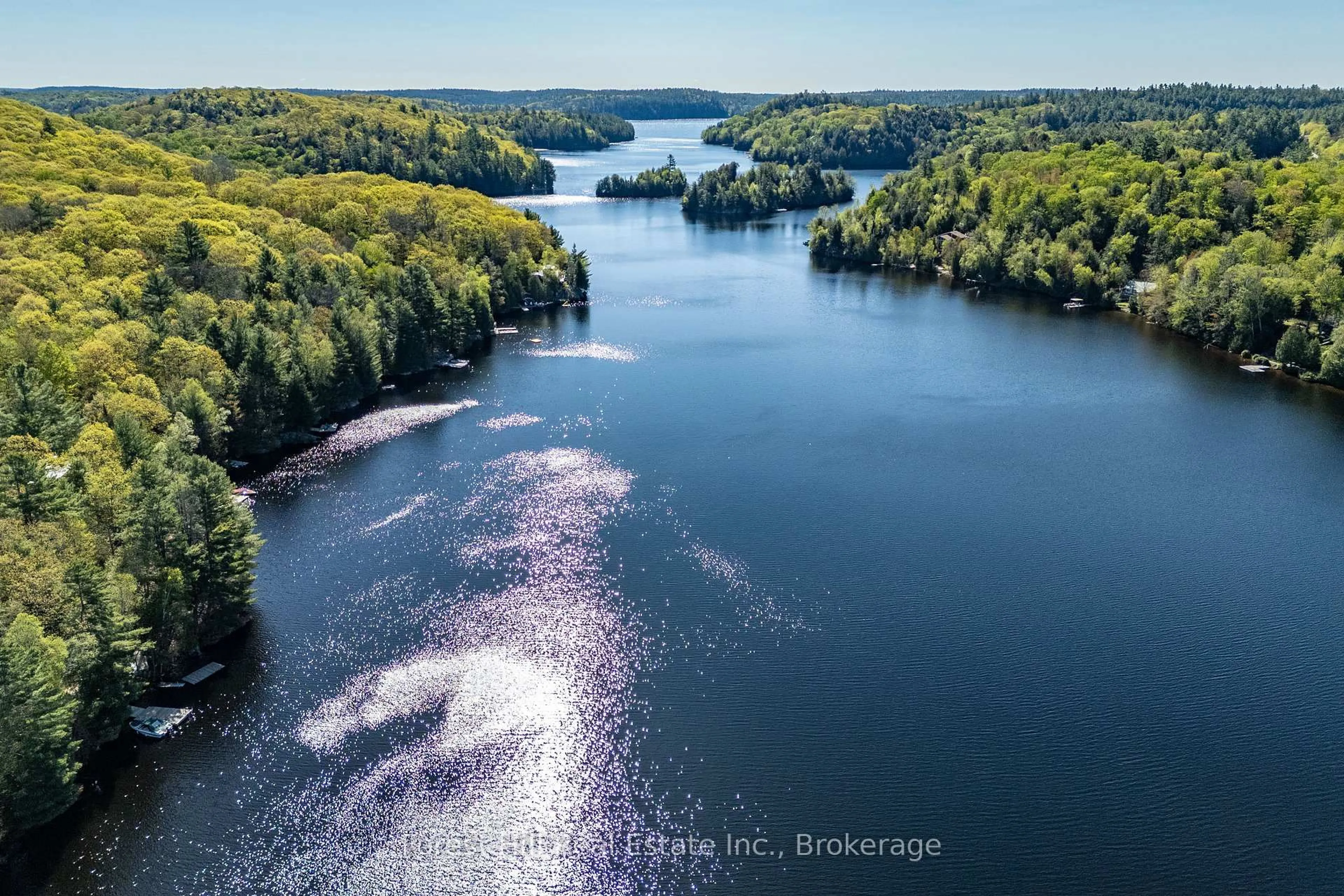 A pic from outside/outdoor area/front of a property/back of a property/a pic from drone, water/lake/river/ocean view for 48 Raven Lake, Lake of Bays Ontario P0B 1A0
