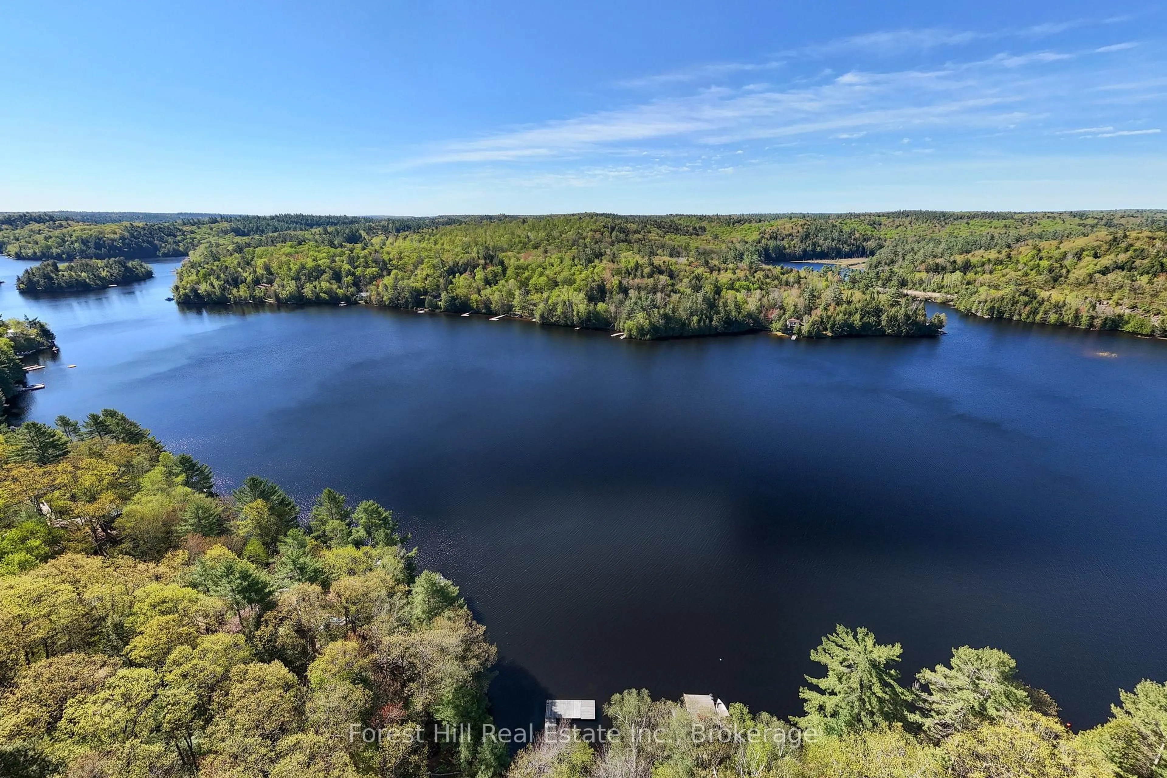 A pic from outside/outdoor area/front of a property/back of a property/a pic from drone, water/lake/river/ocean view for 48 Raven Lake, Lake of Bays Ontario P0B 1A0