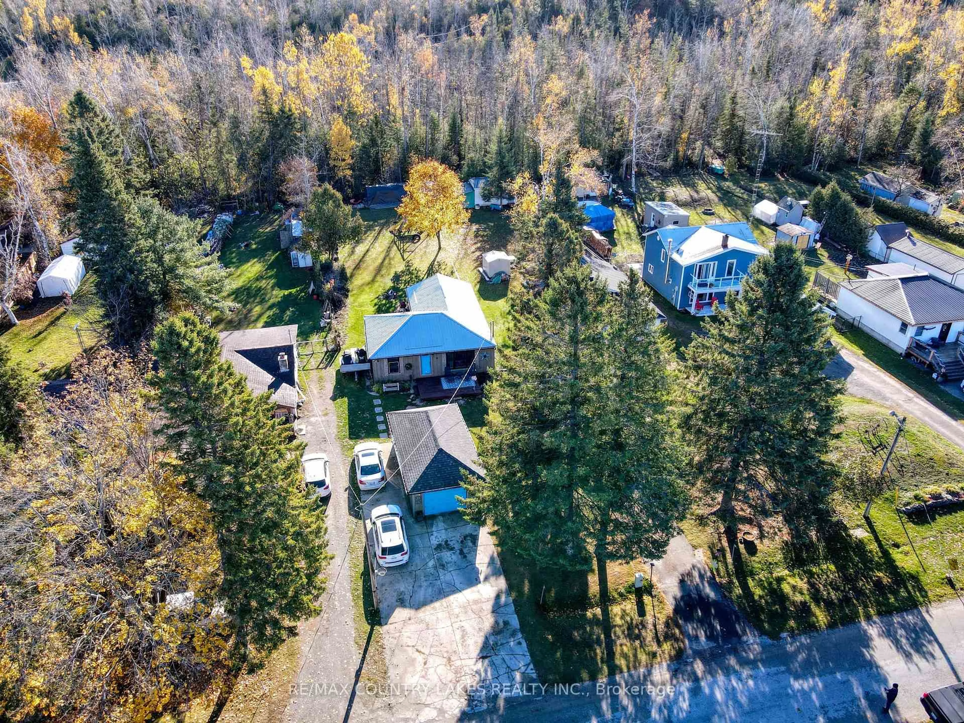 A pic from outside/outdoor area/front of a property/back of a property/a pic from drone, forest/trees view for 41 Antiquary Rd, Kawartha Lakes Ontario K0M 2B0