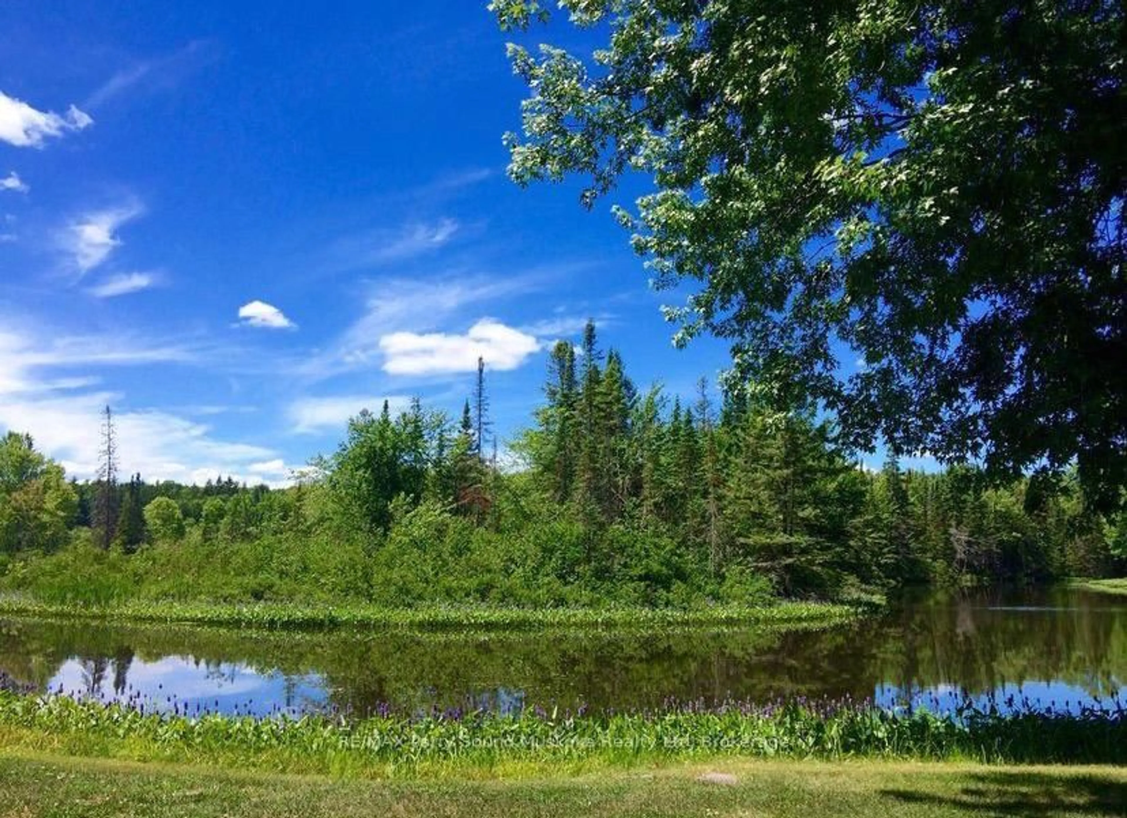 A pic of a room for 49 Maple St, Seguin Ontario P0C 1J0