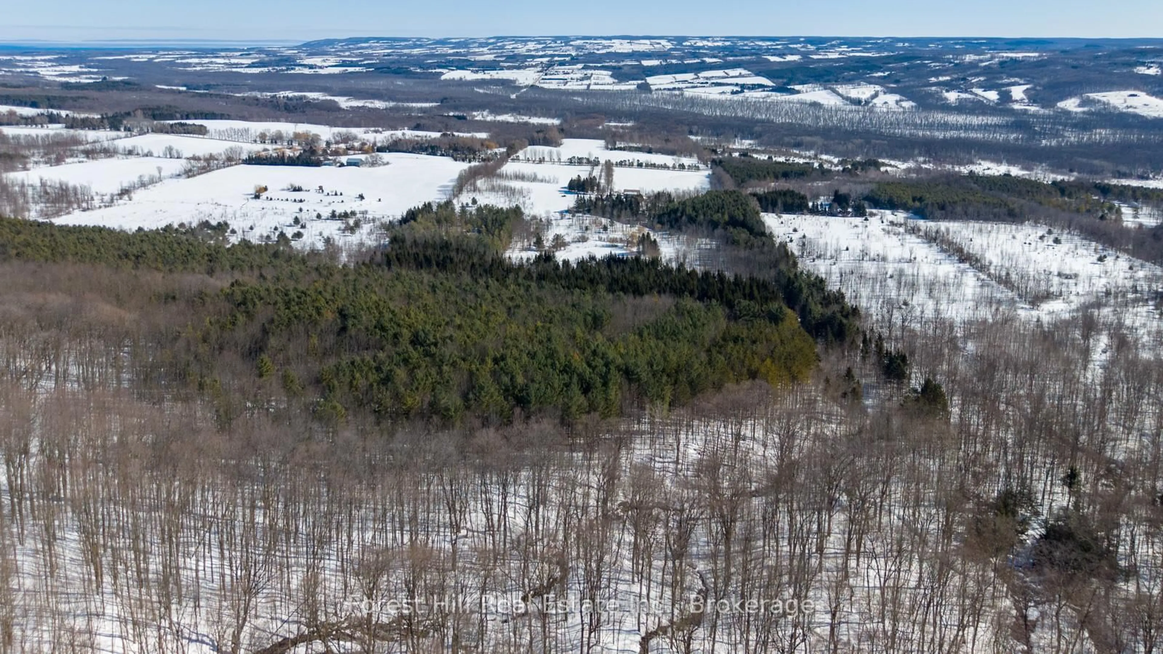 A pic from outside/outdoor area/front of a property/back of a property/a pic from drone, forest/trees view for 195908 Grey Road 7 Rd, Grey Highlands Ontario N0C 1G0