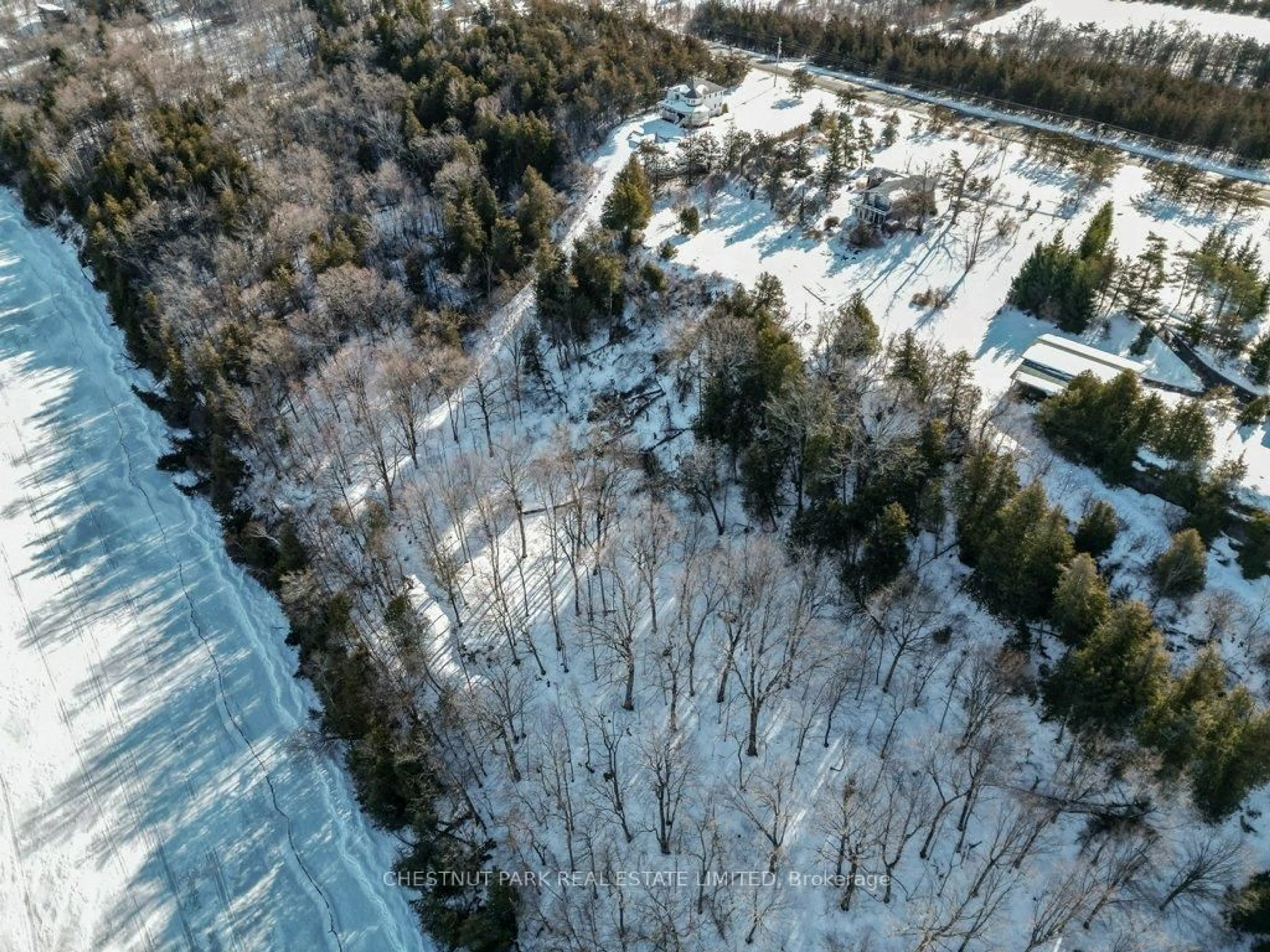 A pic from outside/outdoor area/front of a property/back of a property/a pic from drone, forest/trees view for 2035 County Rd 7, Prince Edward County Ontario K0K 2T0