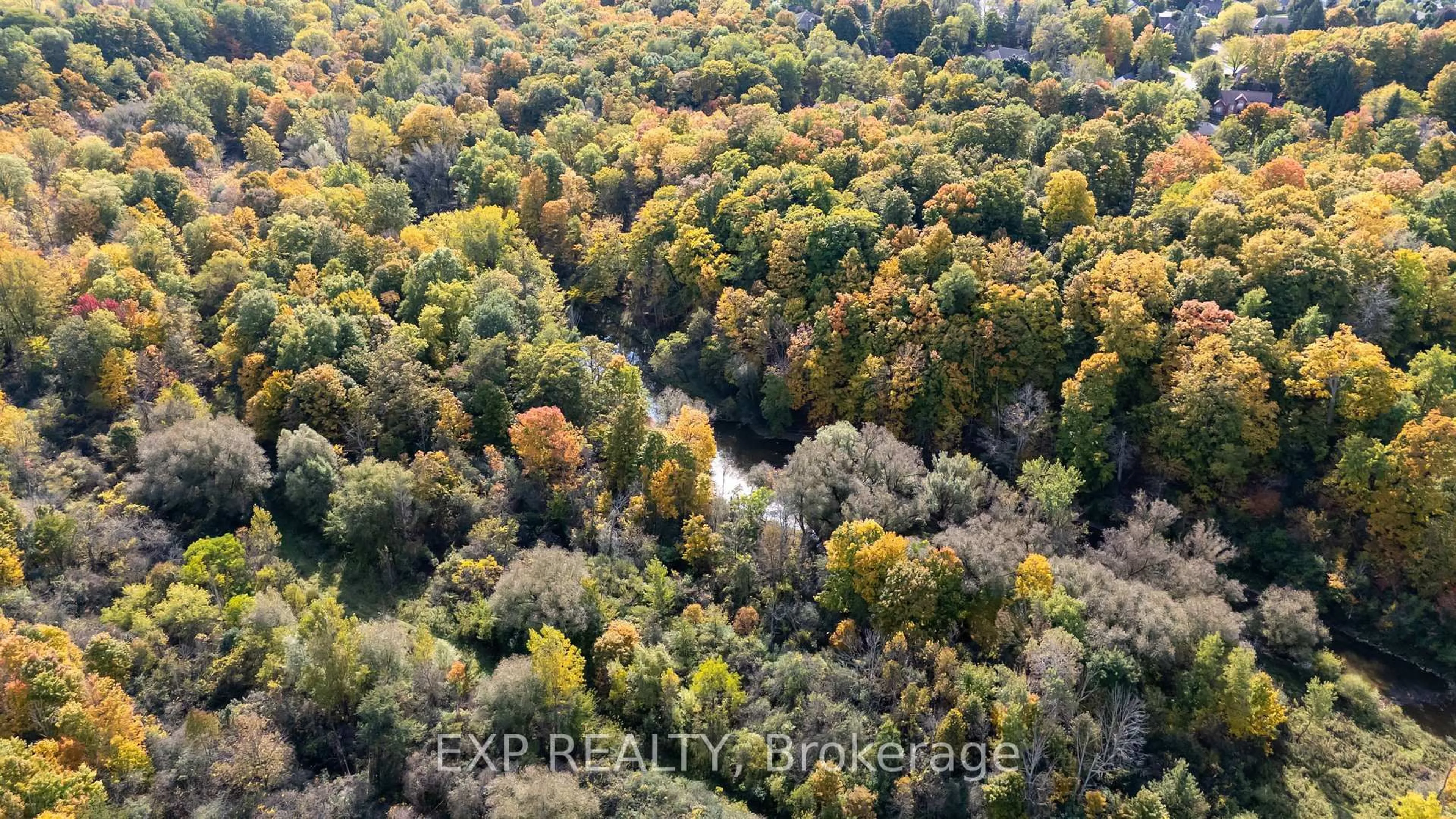 A pic from outside/outdoor area/front of a property/back of a property/a pic from drone, forest/trees view for 43 Glenridge Cres, London North Ontario N6G 4W5