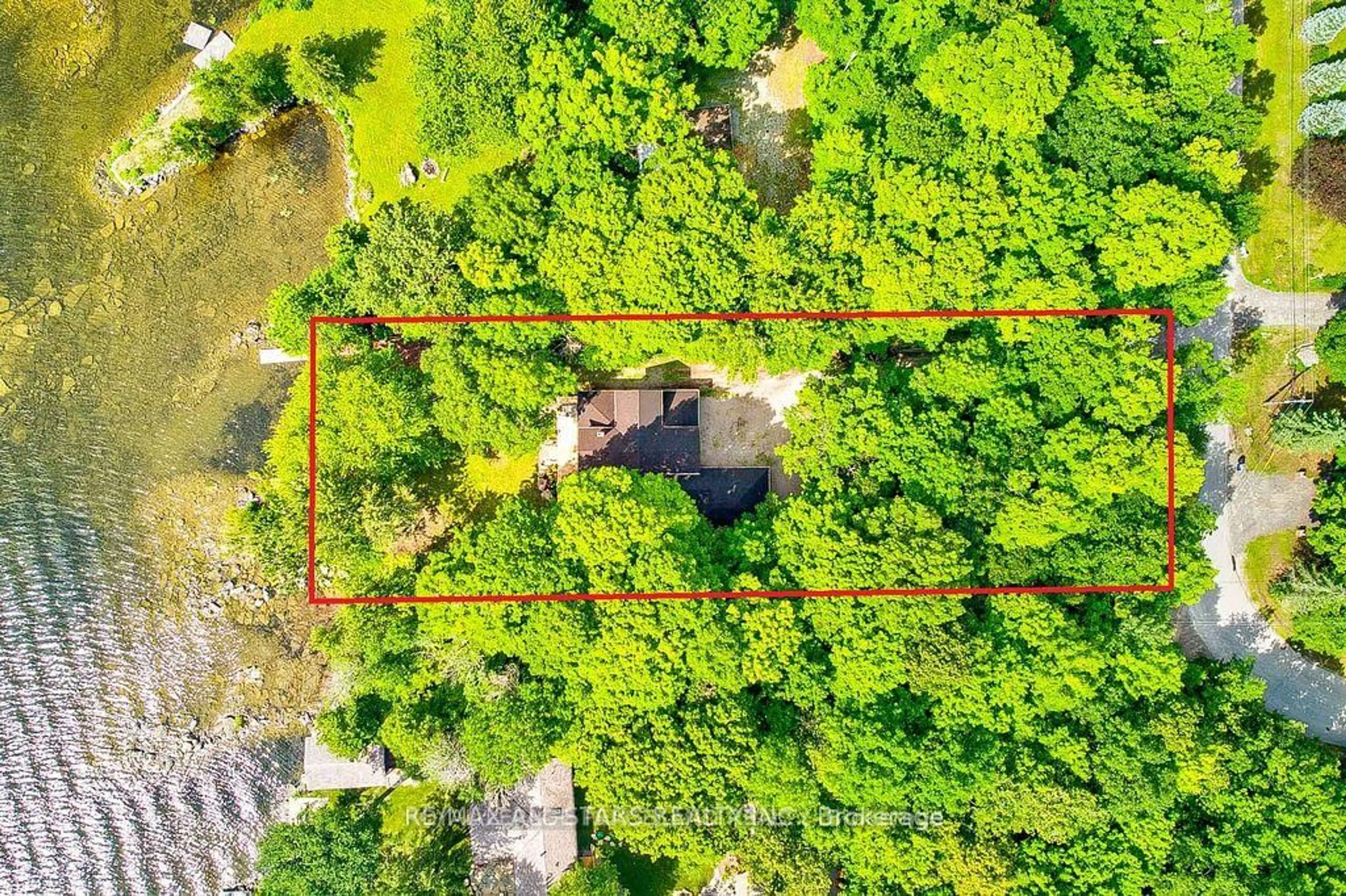 A pic from outside/outdoor area/front of a property/back of a property/a pic from drone, forest/trees view for 317 Riverside Dr, Kawartha Lakes Ontario K0M 1A0