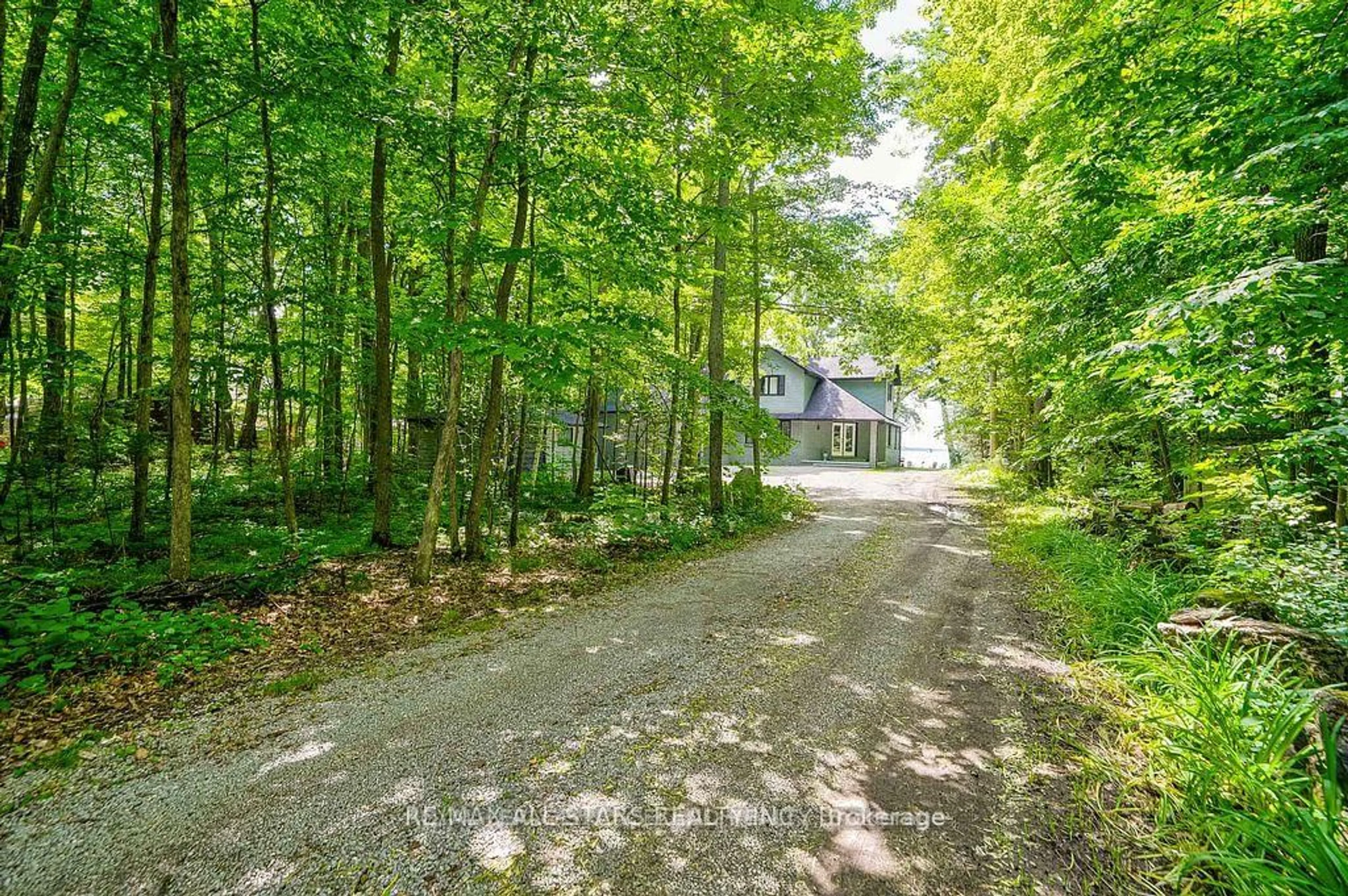 A pic from outside/outdoor area/front of a property/back of a property/a pic from drone, forest/trees view for 317 Riverside Dr, Kawartha Lakes Ontario K0M 1A0