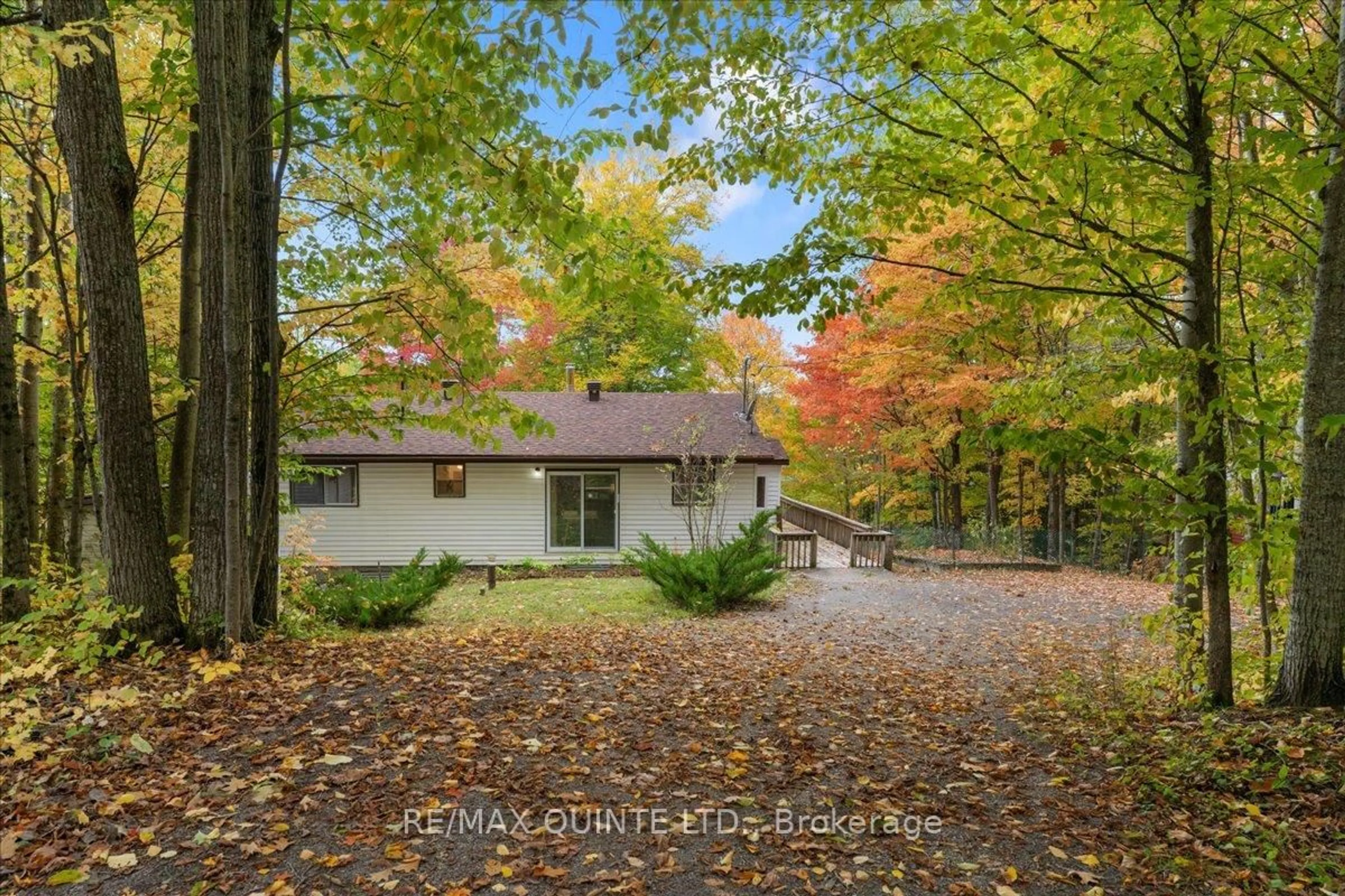 A pic from outside/outdoor area/front of a property/back of a property/a pic from drone, forest/trees view for 538 Skene Rd, Hastings Ontario K0L 1W0