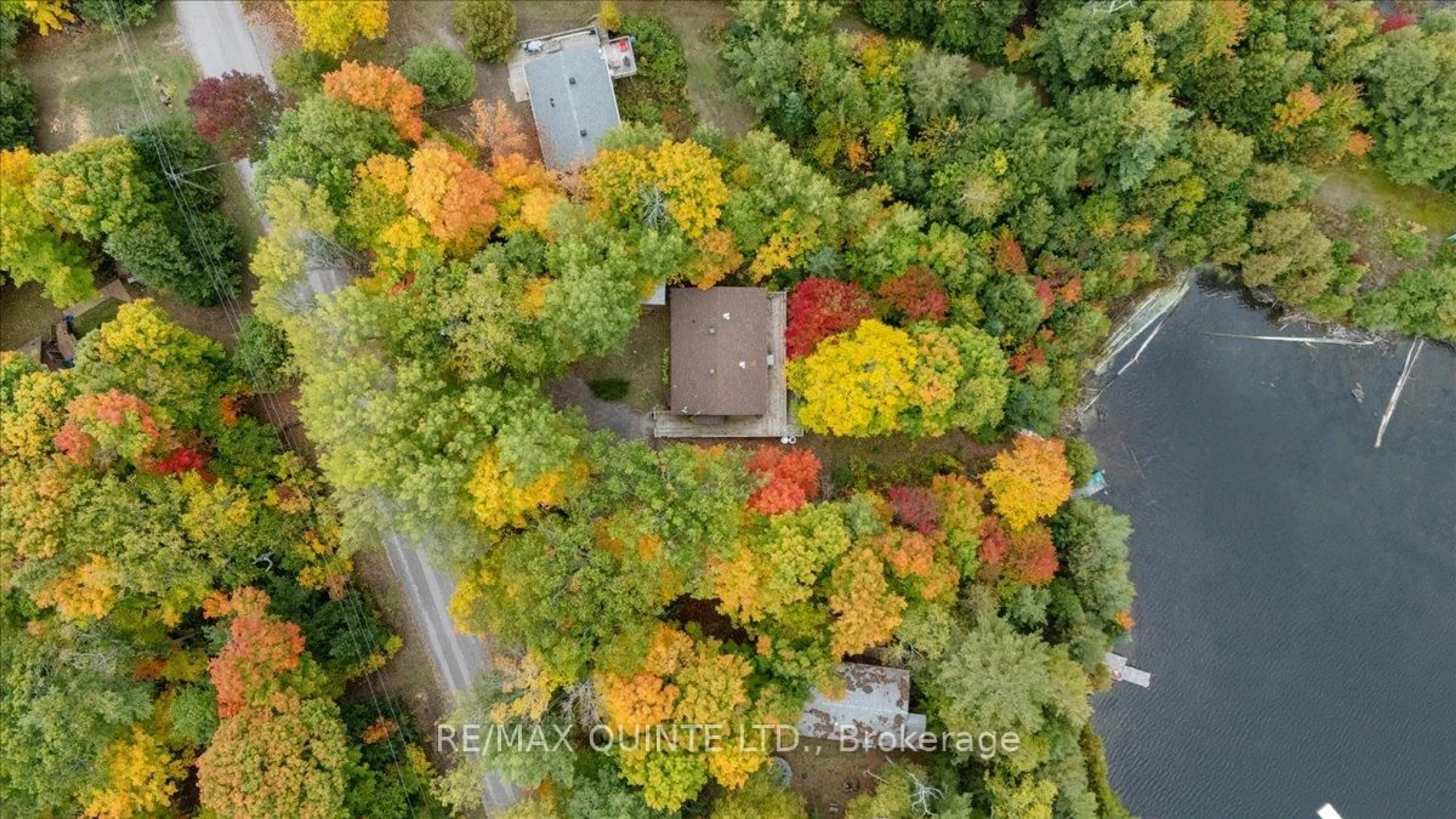 A pic from outside/outdoor area/front of a property/back of a property/a pic from drone, forest/trees view for 538 Skene Rd, Hastings Ontario K0L 1W0