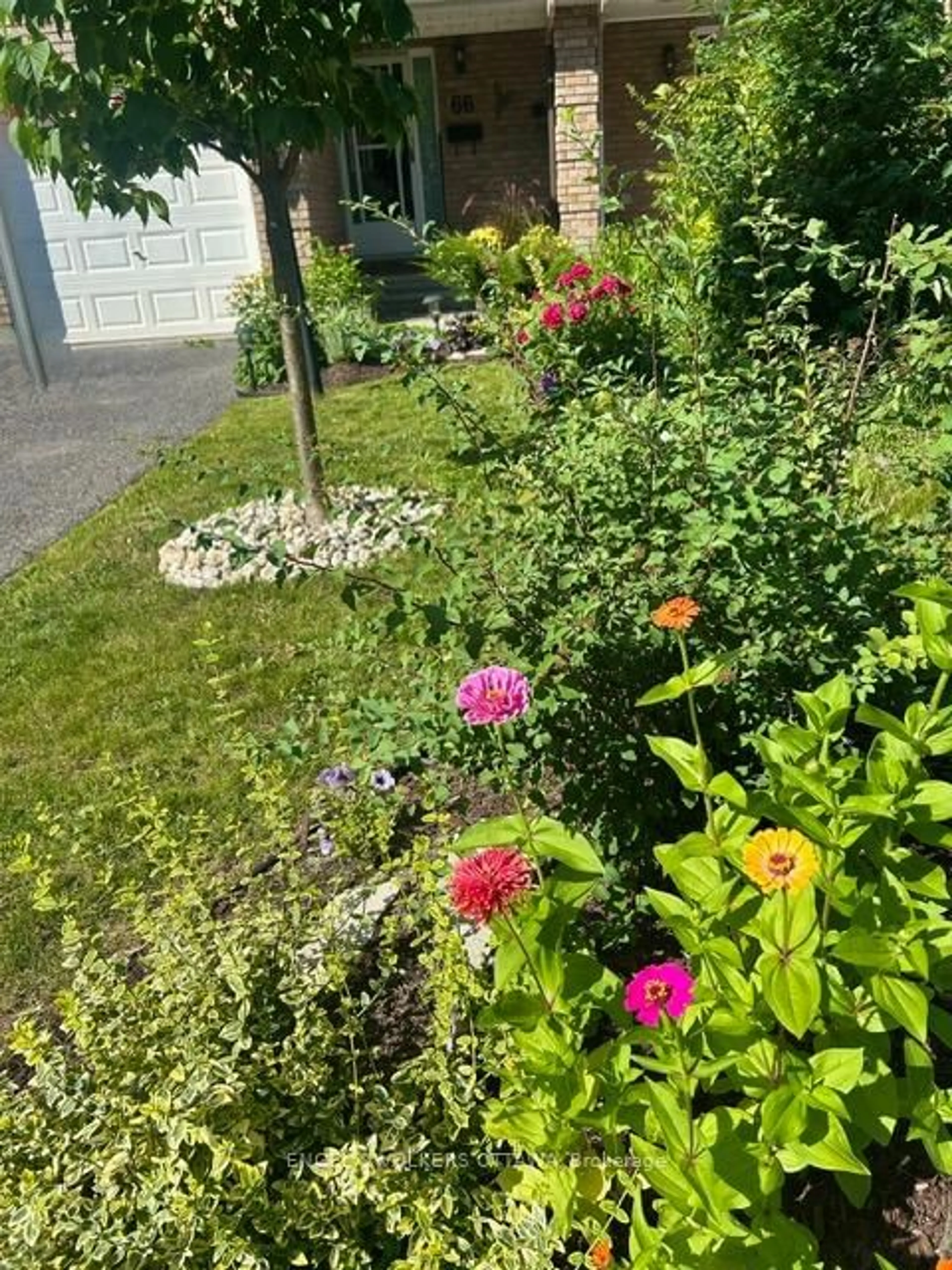 A pic from outside/outdoor area/front of a property/back of a property/a pic from drone, street for 66 Hummingbird Cres, Ottawa Ontario K2J 3A3