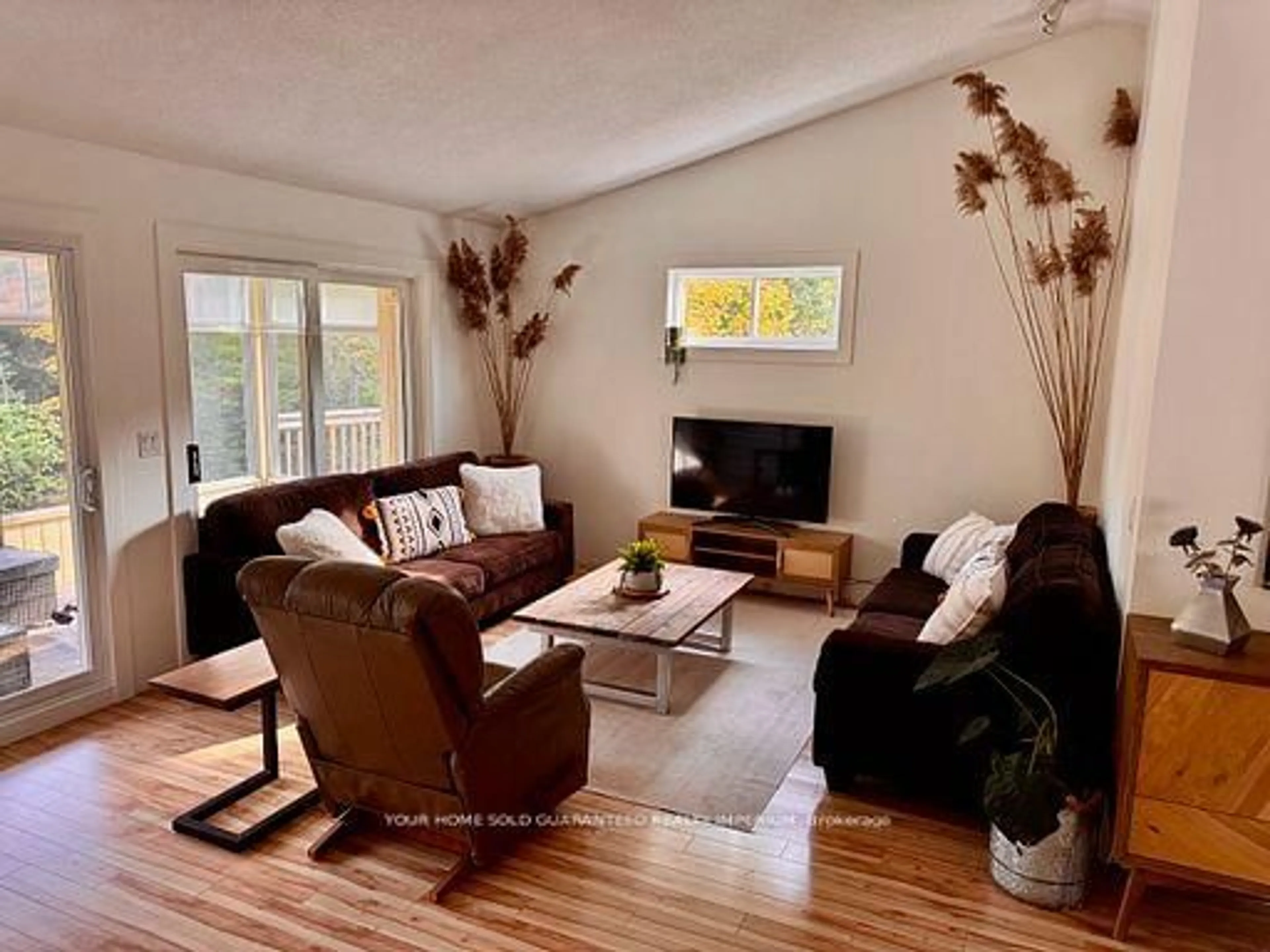 Living room with furniture, wood/laminate floor for 1603 BALMER Rd, North Kawartha Ontario K0L 1A0