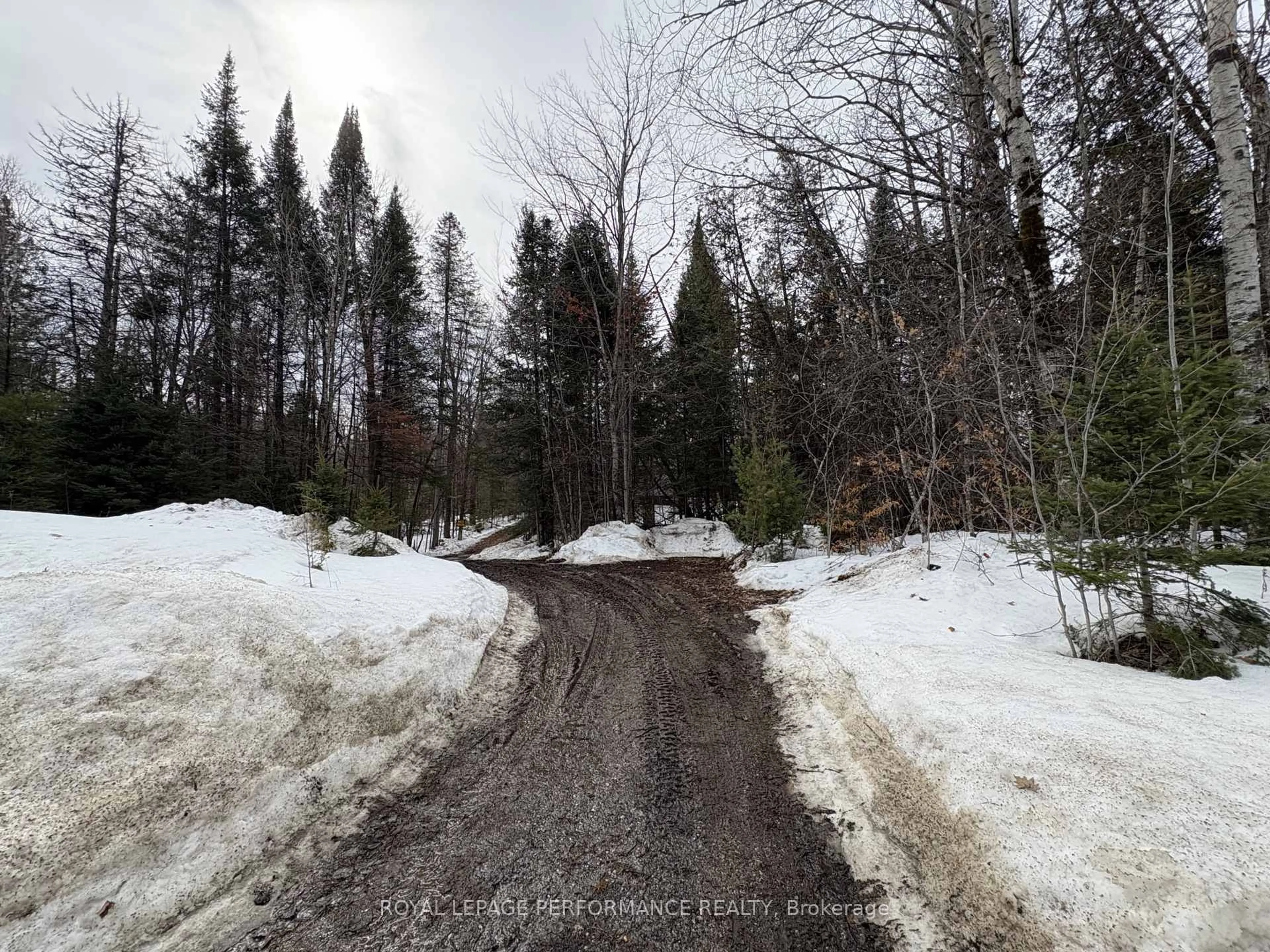 Blurry image for 6611 Highway 511 Highway, Lanark Ontario K0G 1K0