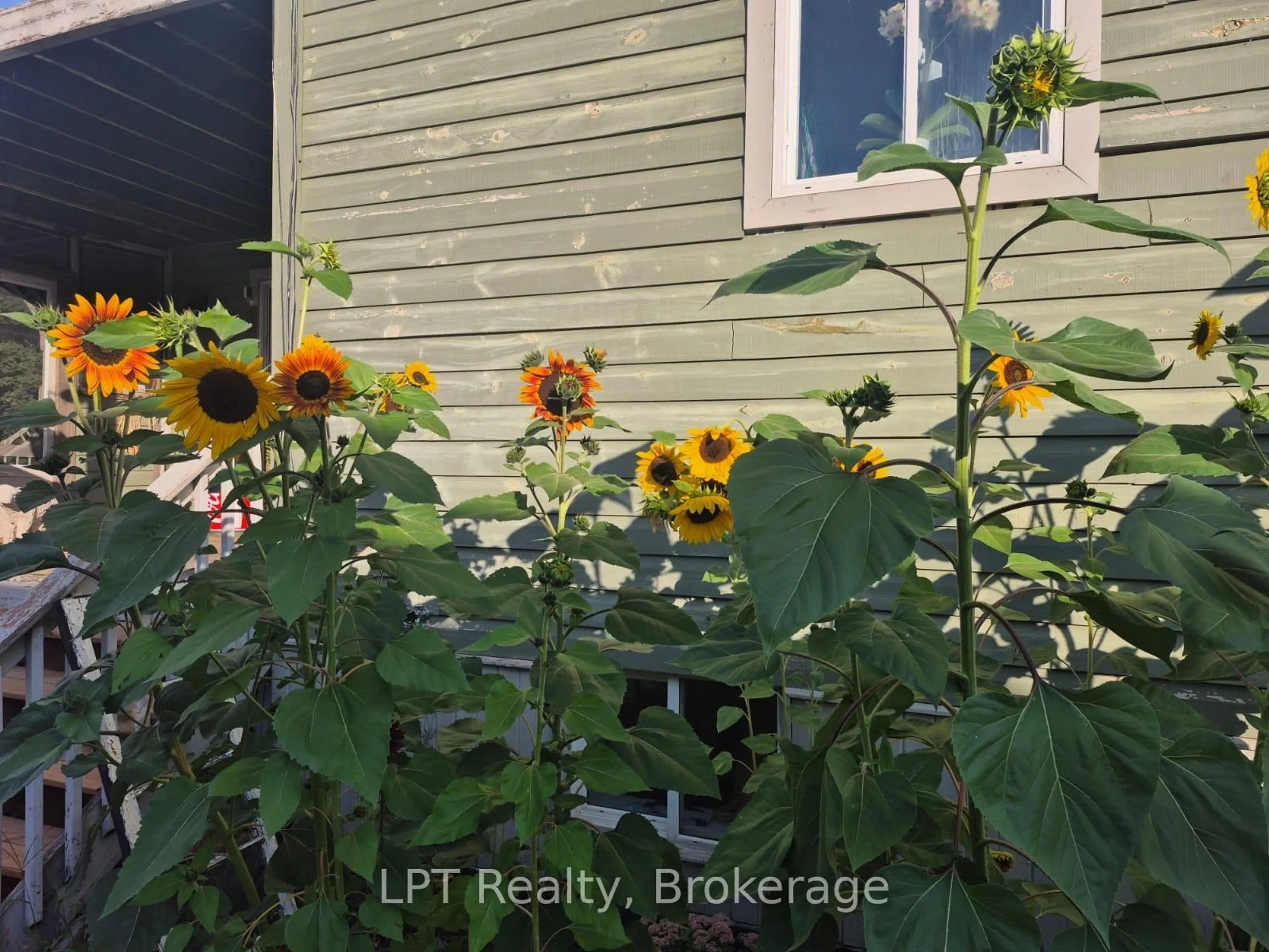 Unknown for 6 Union St, Kaladar Ontario K0K 1Z0