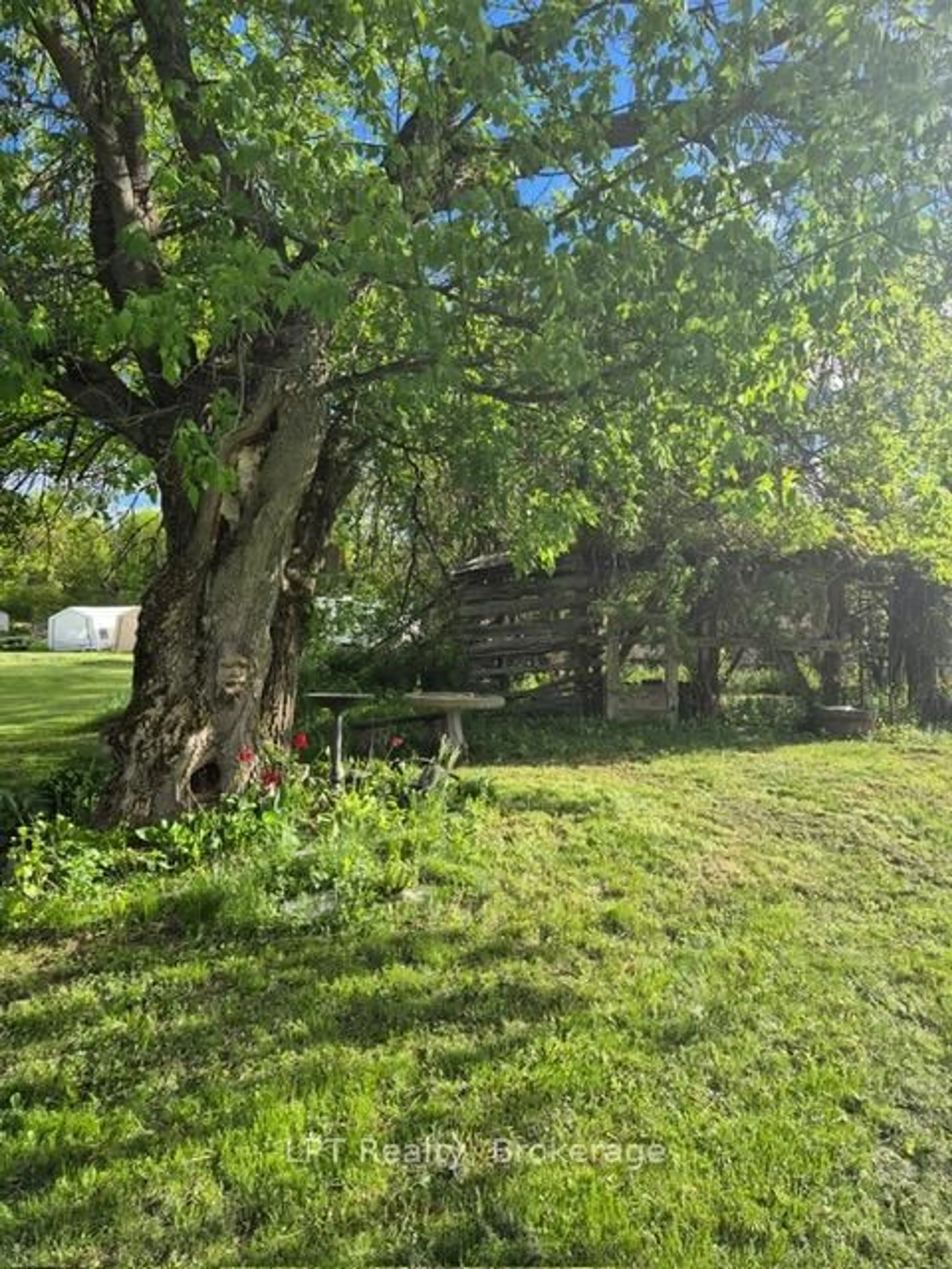 Shed for 6 Union St, Kaladar Ontario K0K 1Z0