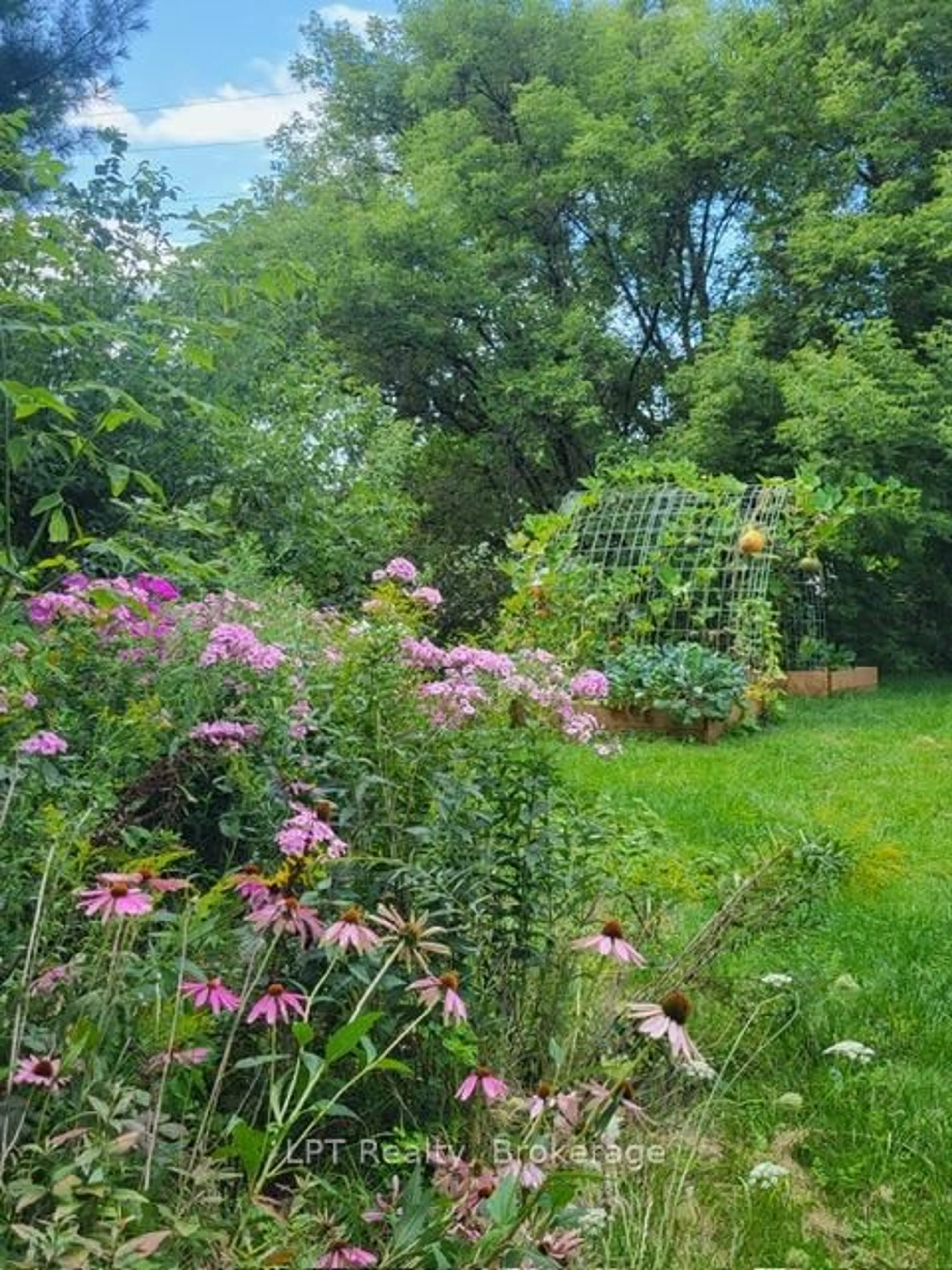 Unknown for 6 Union St, Kaladar Ontario K0K 1Z0