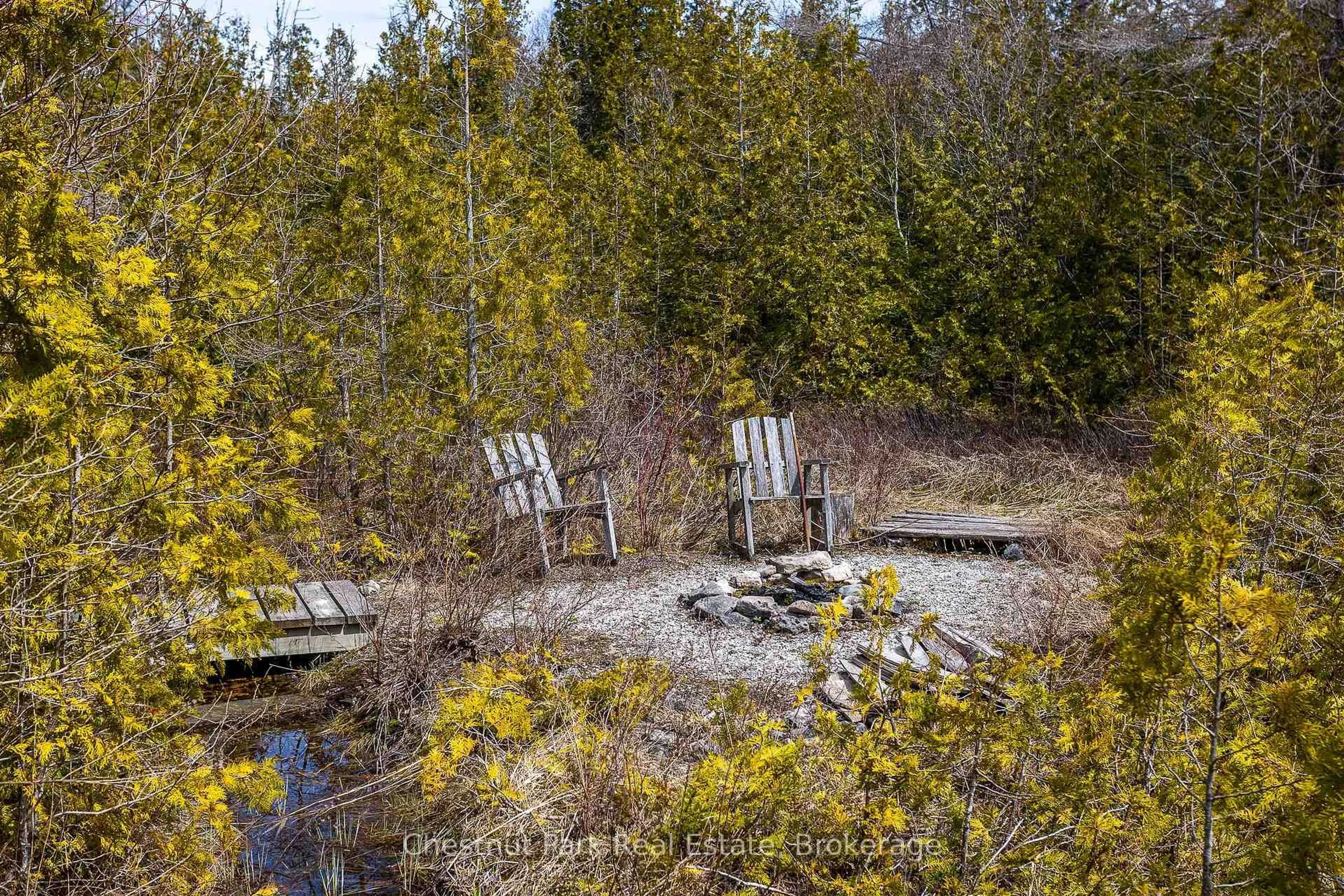 Patio, forest/trees view for 39 Hatt St, Northern Bruce Peninsula Ontario N0H 2R0