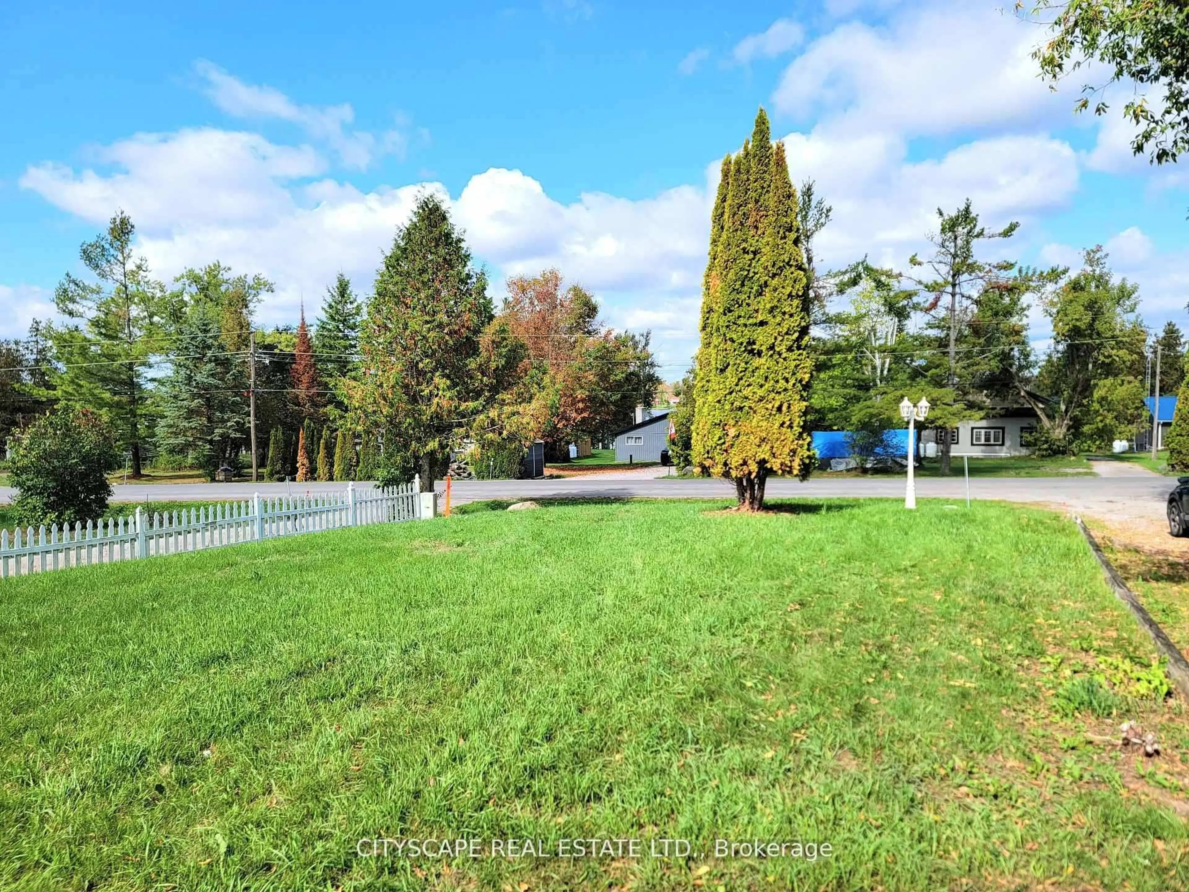 A pic from outside/outdoor area/front of a property/back of a property/a pic from drone, forest/trees view for 34 Robinson Ave, Kawartha Lakes Ontario K0M 2B0