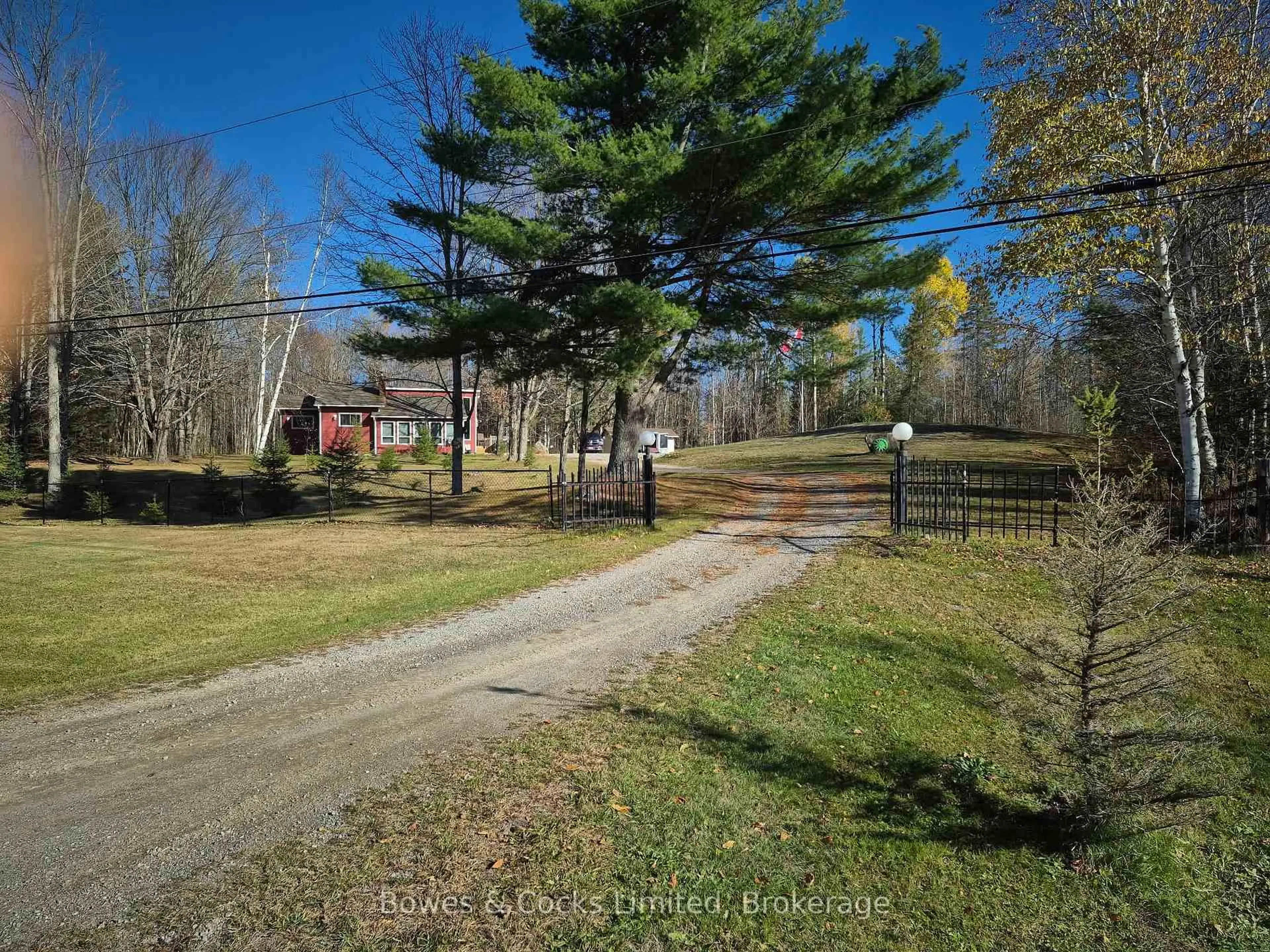 A pic from outside/outdoor area/front of a property/back of a property/a pic from drone, forest/trees view for 1165 County Road 620, North Kawartha Ontario K0L 1A0
