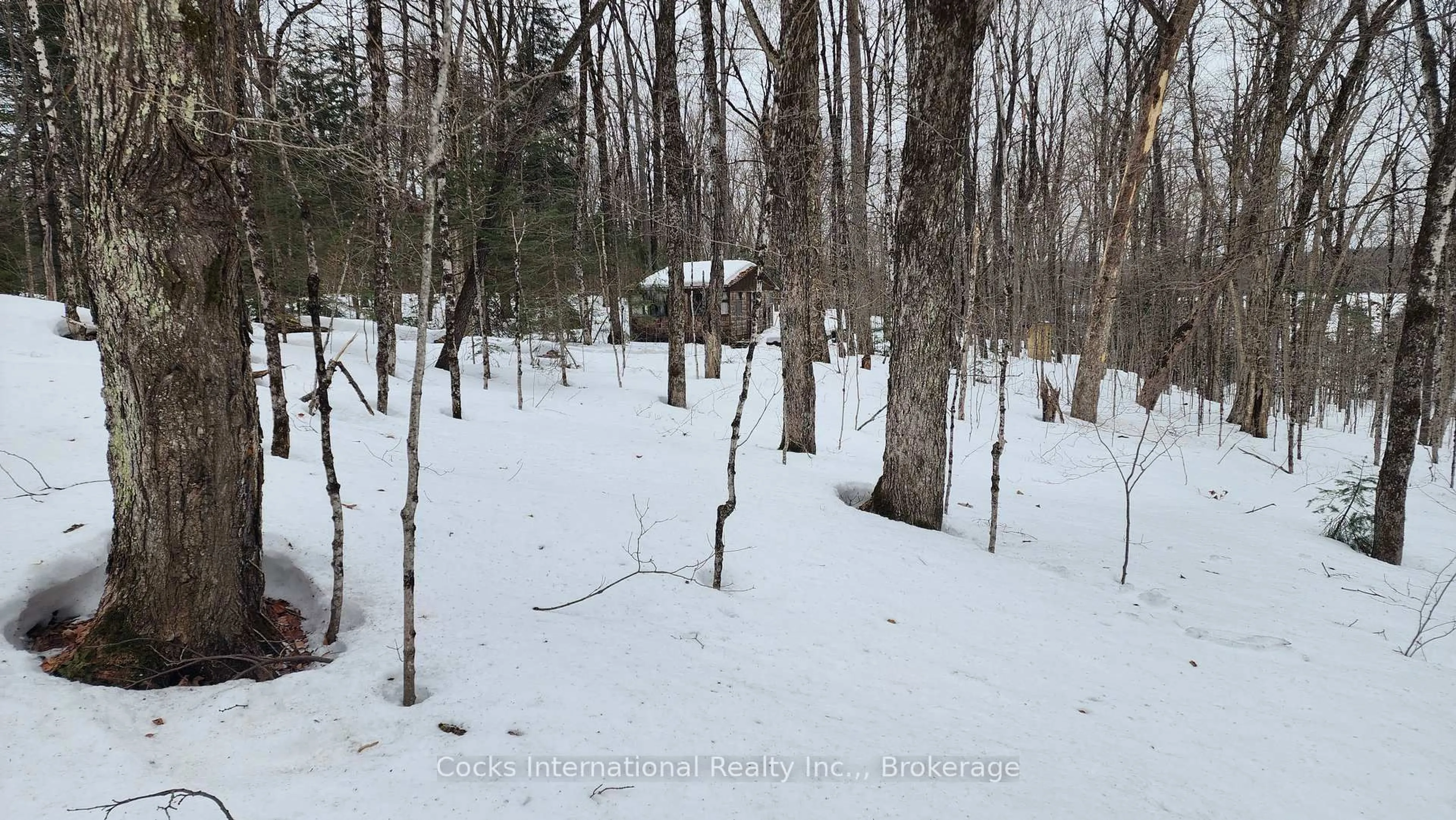 Unknown for 1165 Spring Lake Rd, Bracebridge Ontario P1L 1X1