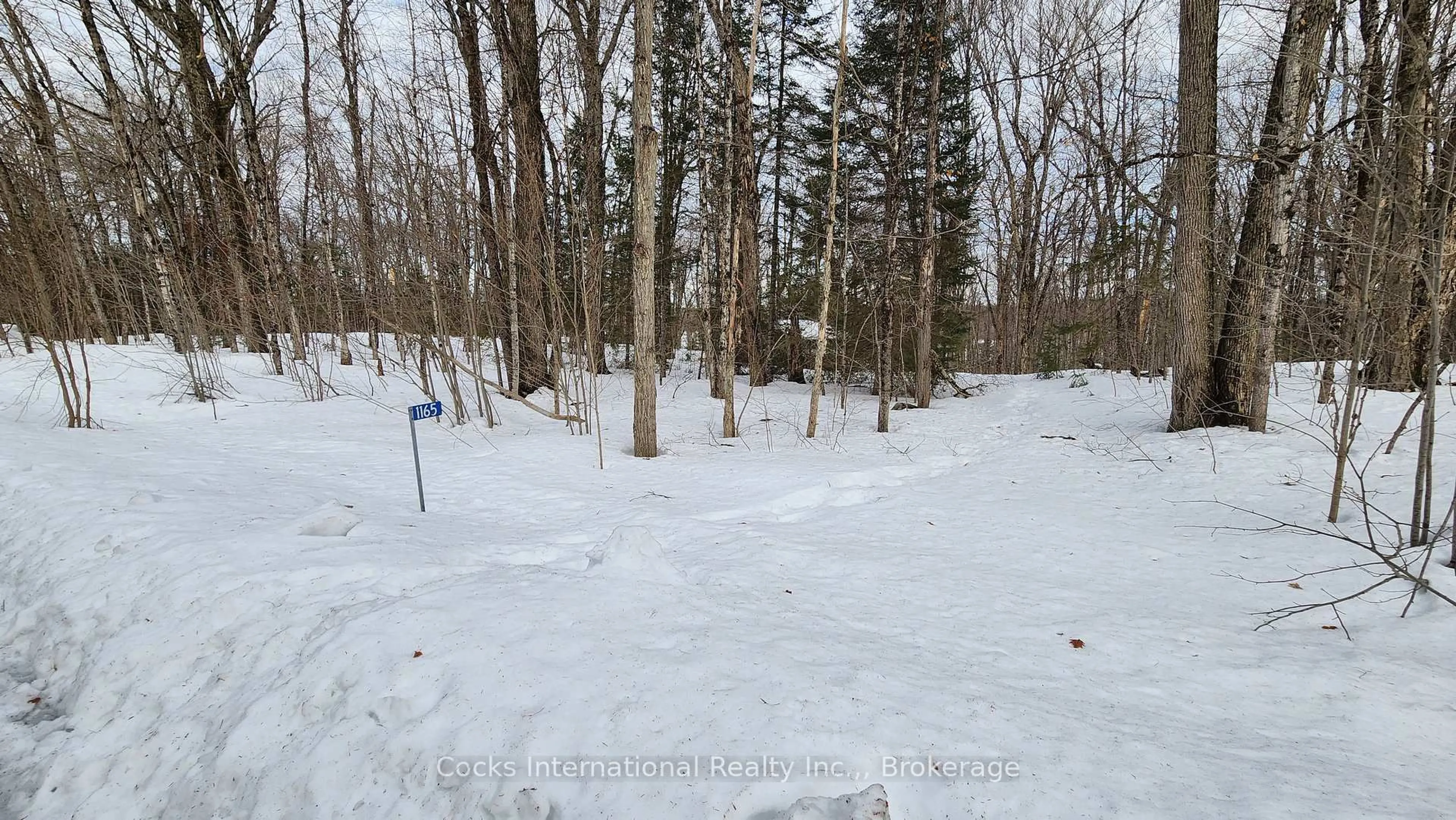 A pic from outside/outdoor area/front of a property/back of a property/a pic from drone, forest/trees view for 1165 Spring Lake Rd, Bracebridge Ontario P1L 1X1