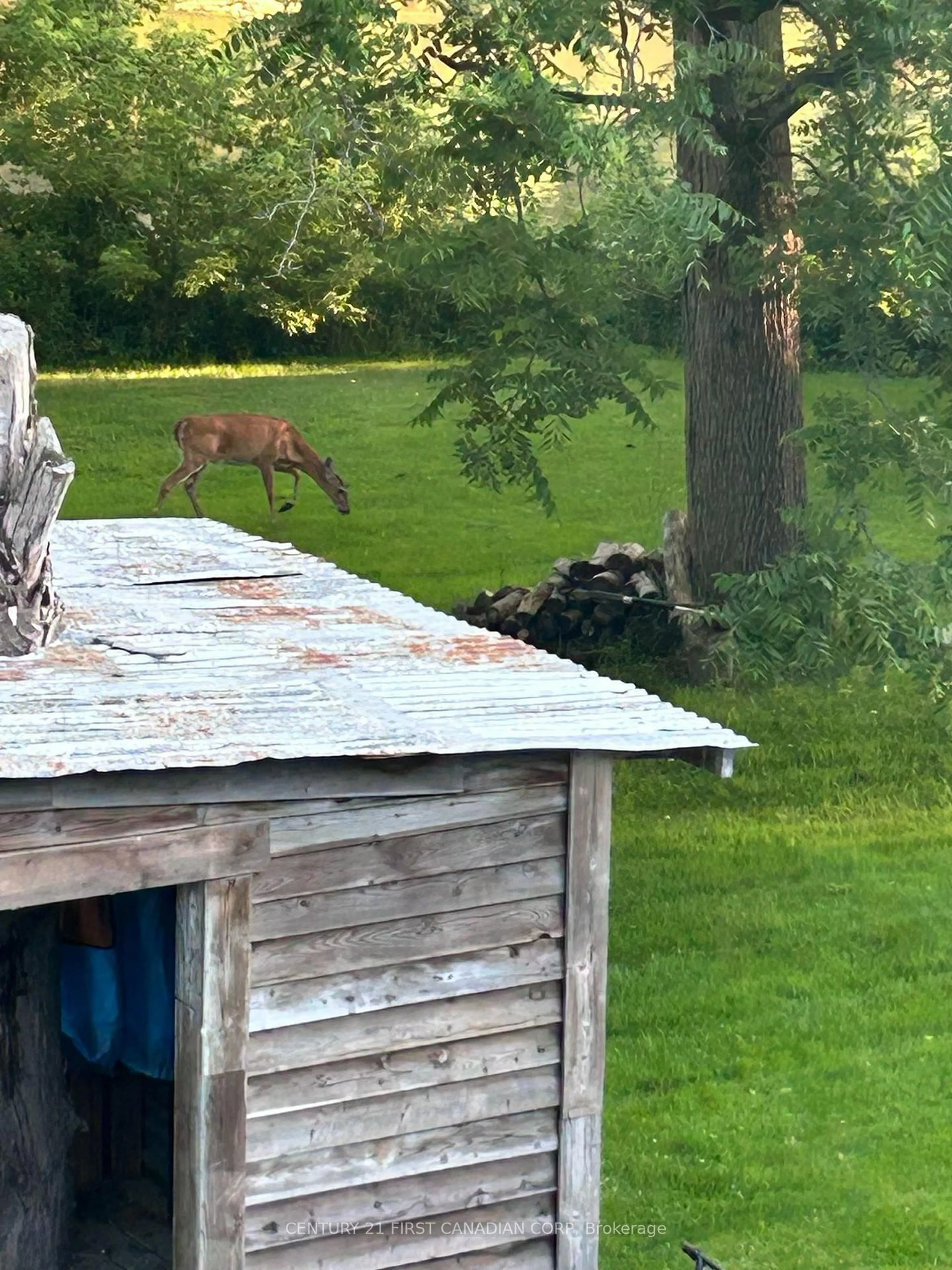 Shed for 4379 CATHERINE St, Thames Centre Ontario N0L 1G6