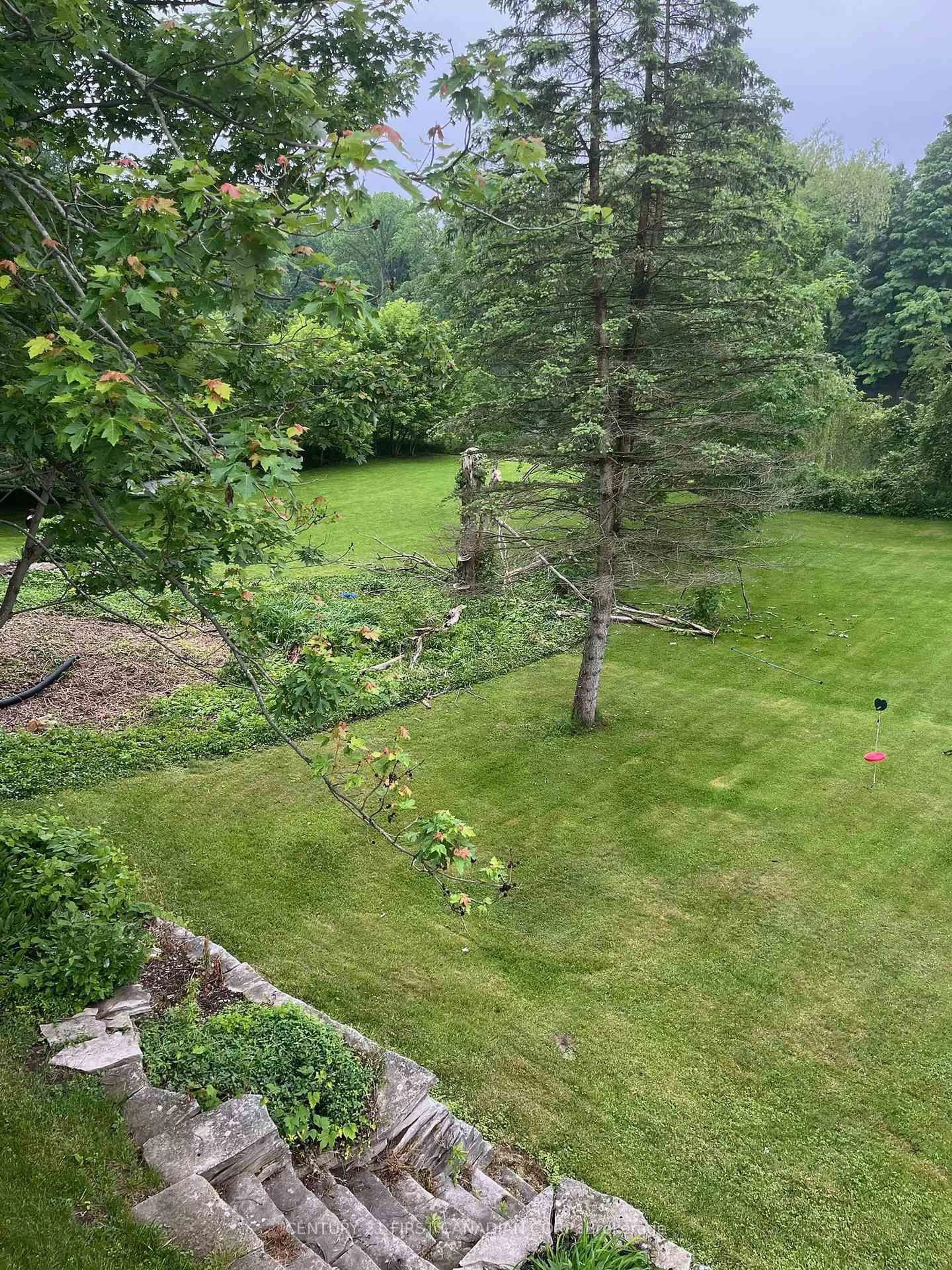 A pic from outside/outdoor area/front of a property/back of a property/a pic from drone, forest/trees view for 4379 CATHERINE St, Thames Centre Ontario N0L 1G6