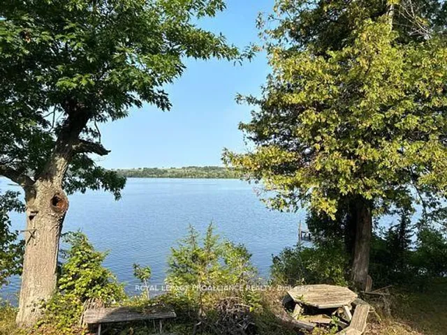 90 McCracken Landing Rd #4, Alnwick/Haldimand 5