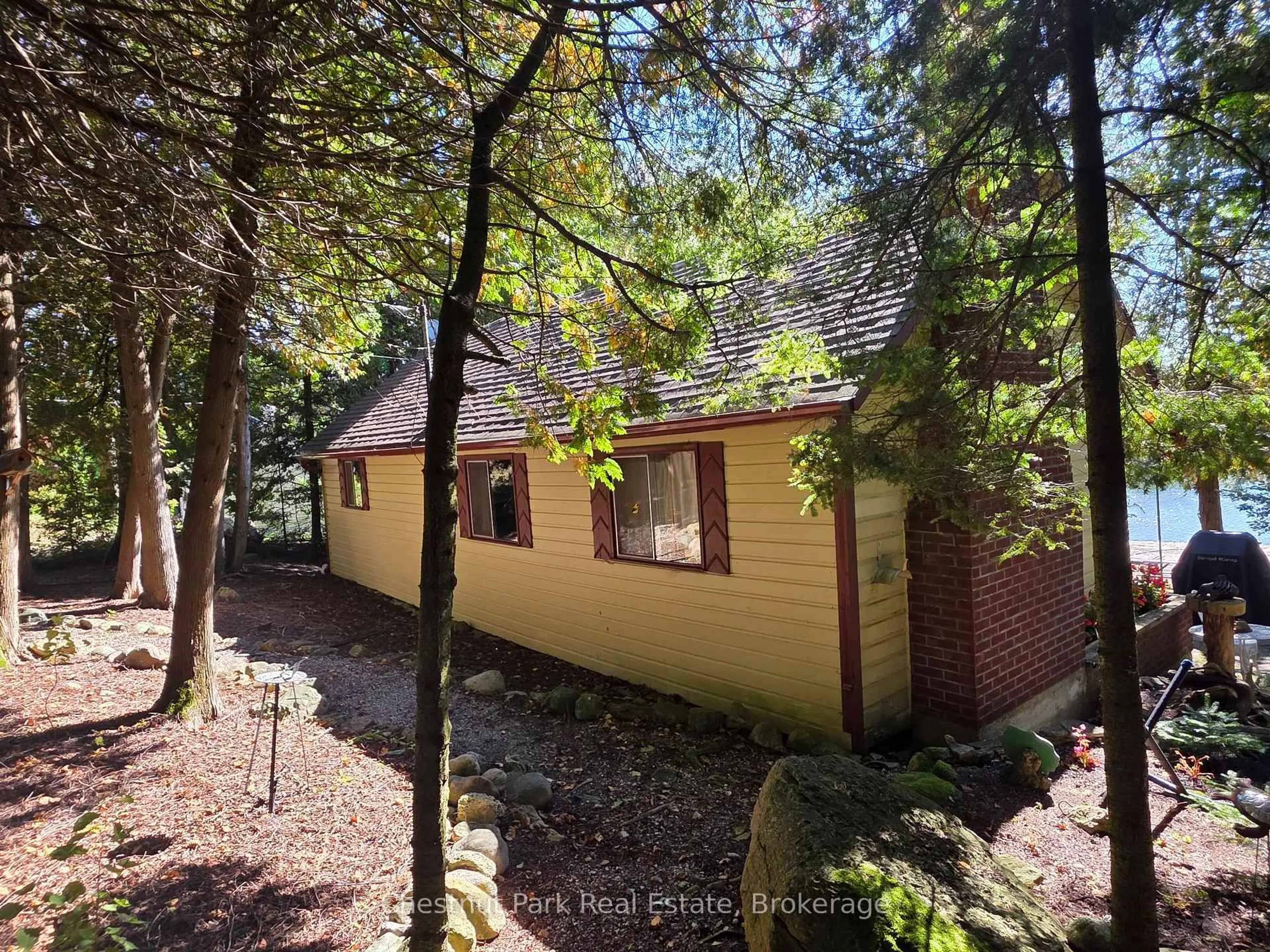 A pic from outside/outdoor area/front of a property/back of a property/a pic from drone, forest/trees view for 41 Simpson Ave, Northern Bruce Peninsula Ontario N0H 2R0