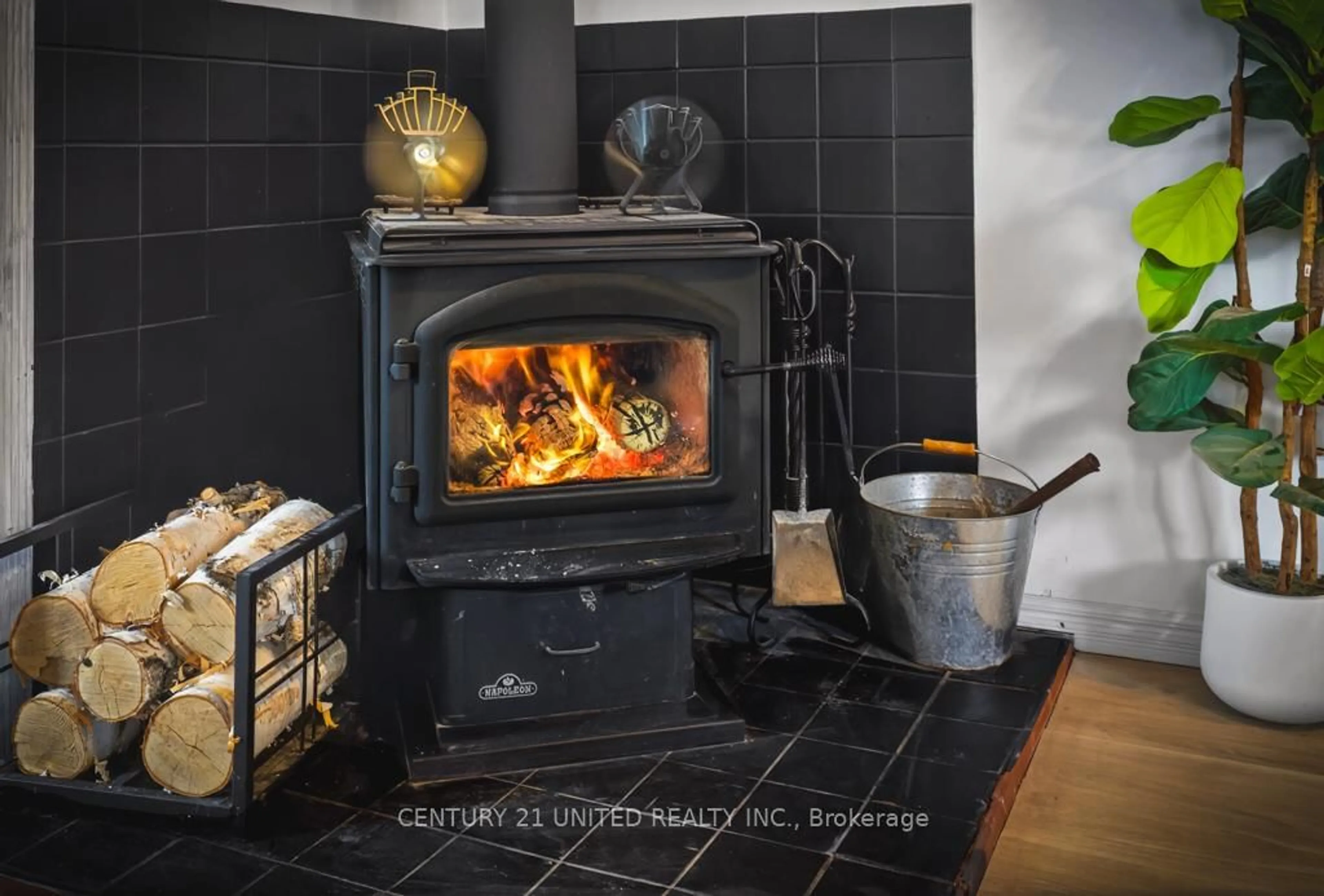 Unknown for 17 Fire Rte 79, Trent Lakes Ontario K0L 1J0