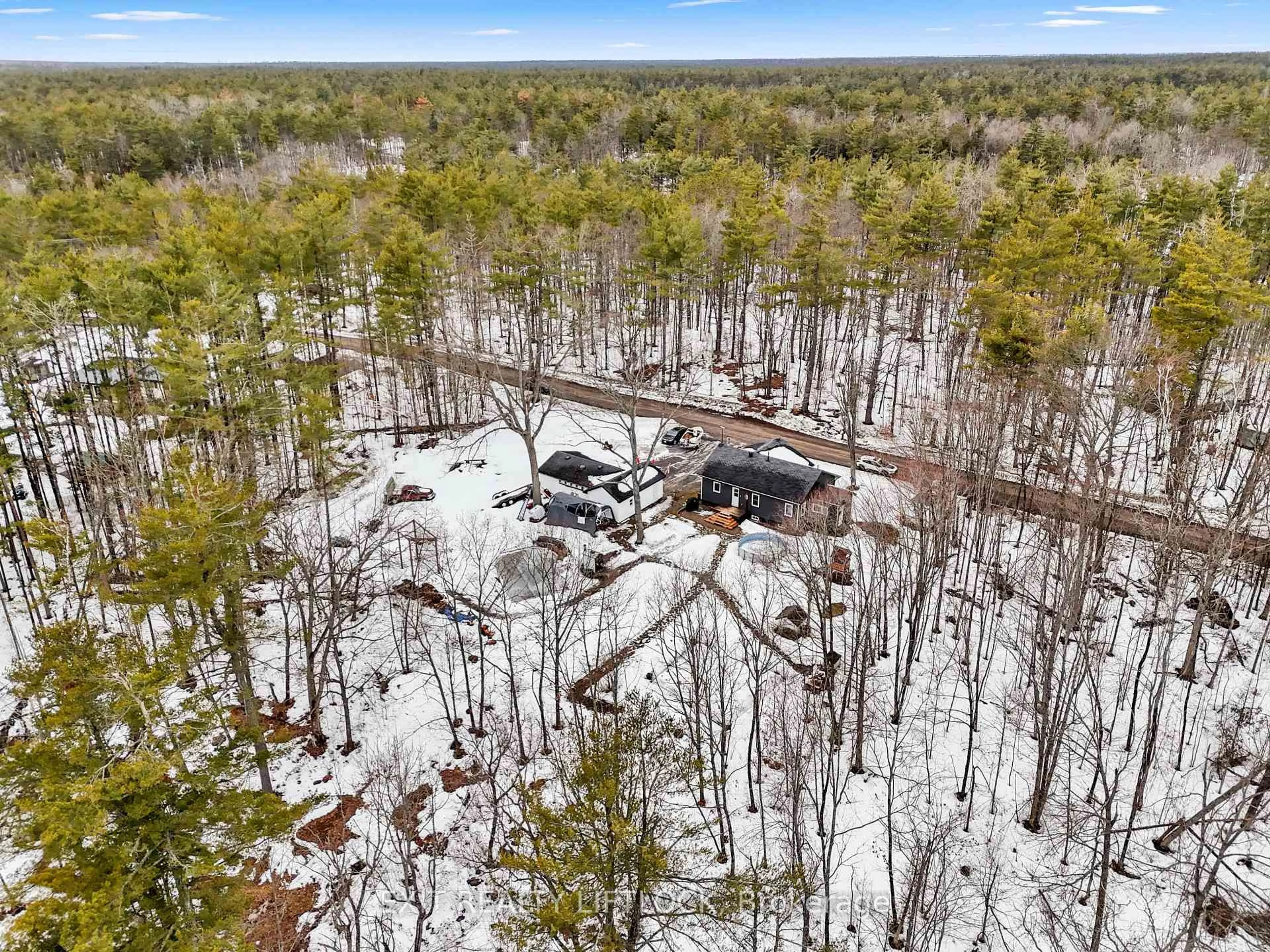 A pic from outside/outdoor area/front of a property/back of a property/a pic from drone, forest/trees view for 288 Hulls Rd, North Kawartha Ontario K0L 2H0