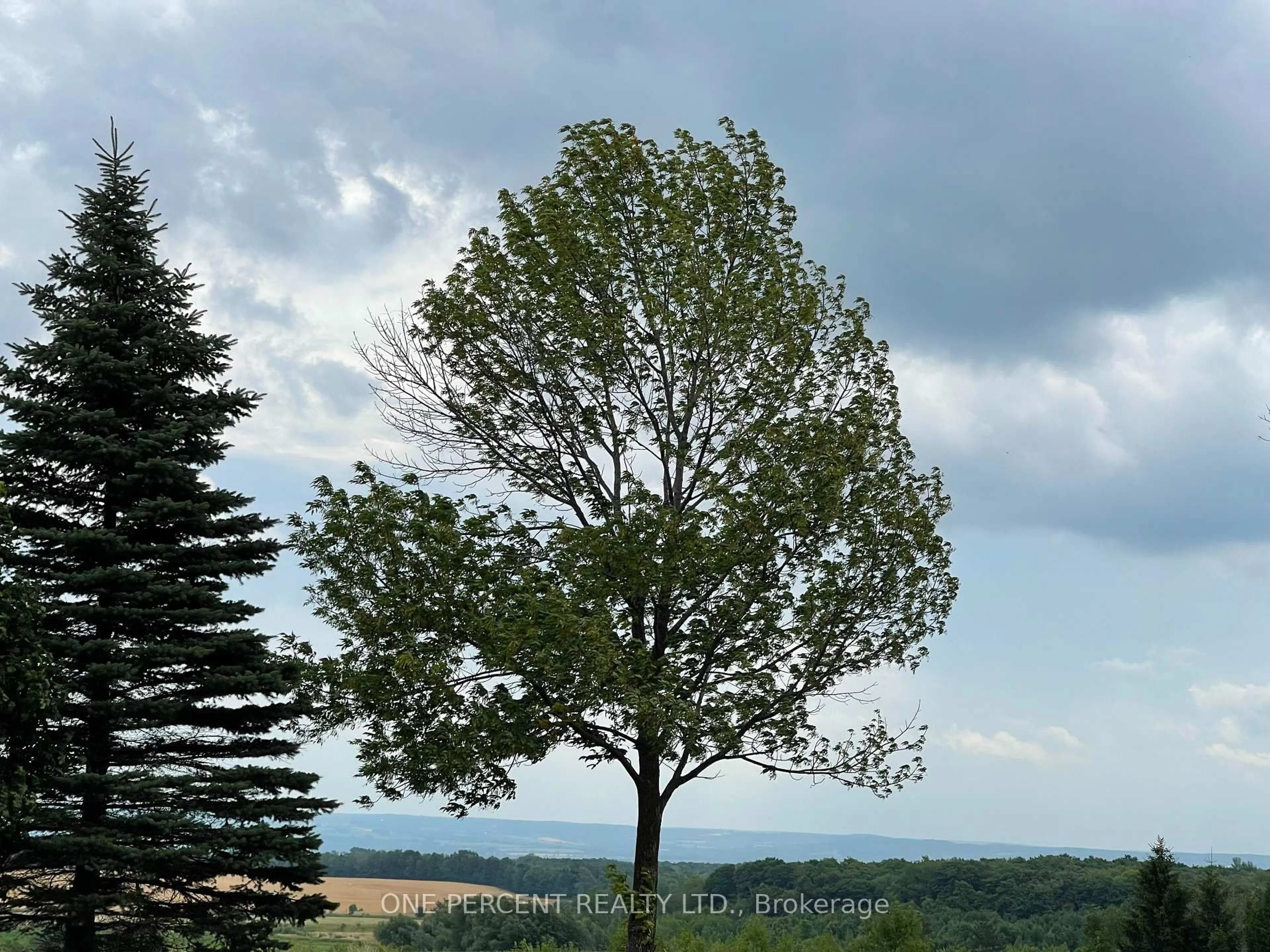 Blurry image for 196690 Grey Road 7 Rd, Grey Highlands Ontario N4L 1W7