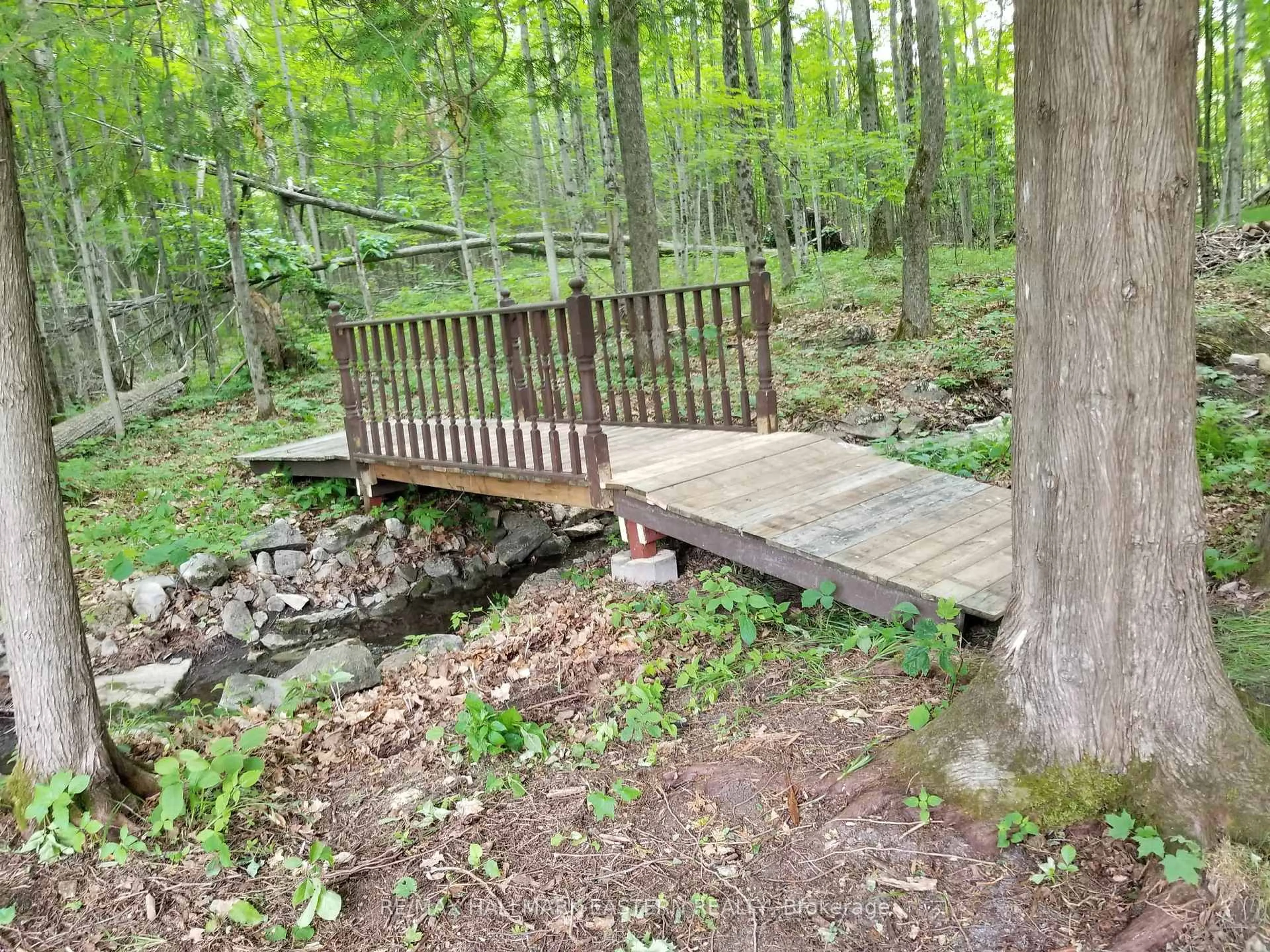 Patio, forest/trees view for 2160 County Road 46, Havelock-Belmont-Methuen Ontario K0L 1Z0