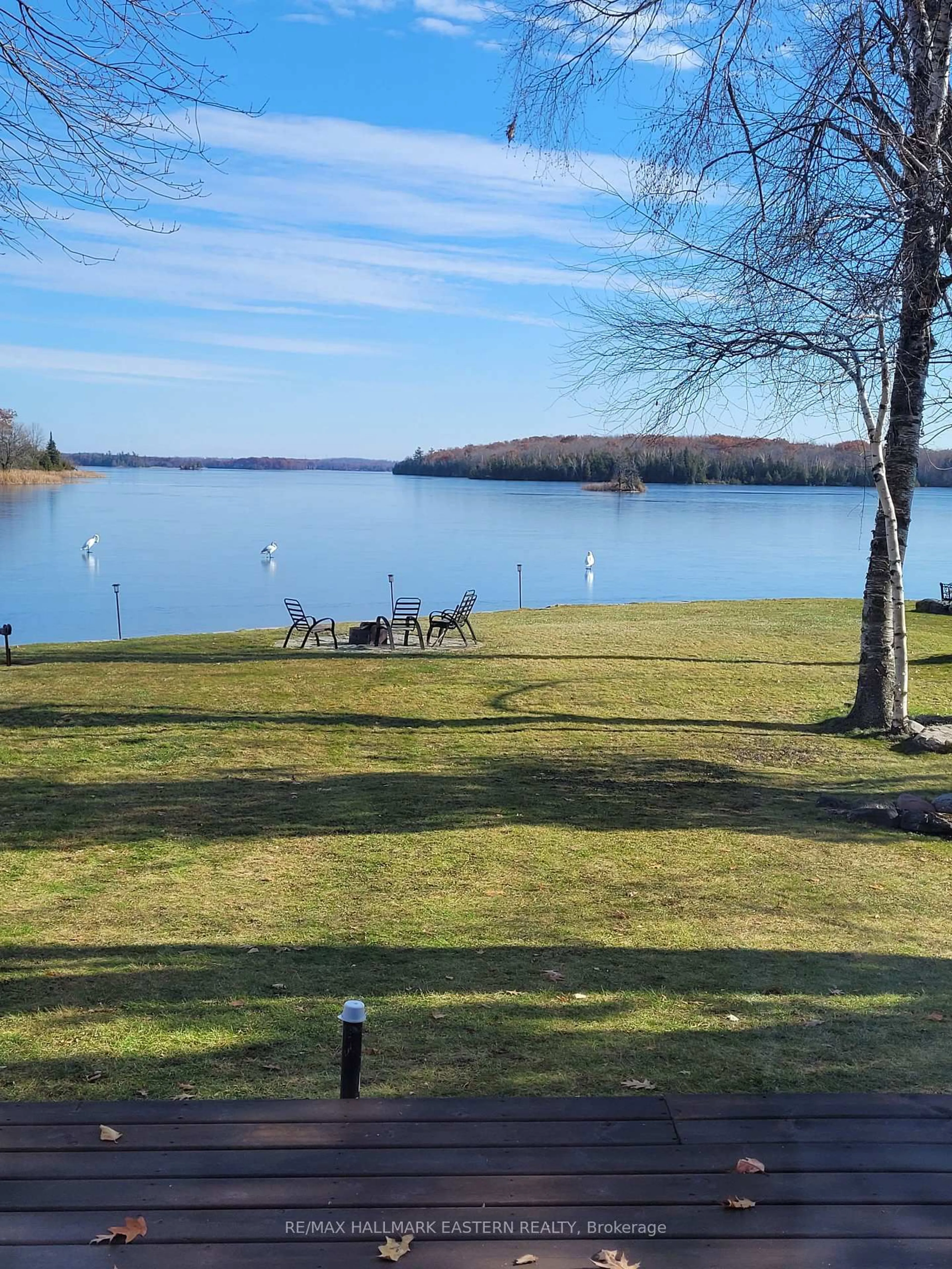 A pic from outside/outdoor area/front of a property/back of a property/a pic from drone, water/lake/river/ocean view for 57 Woodland Tr, Trent Lakes Ontario K0L 1J0