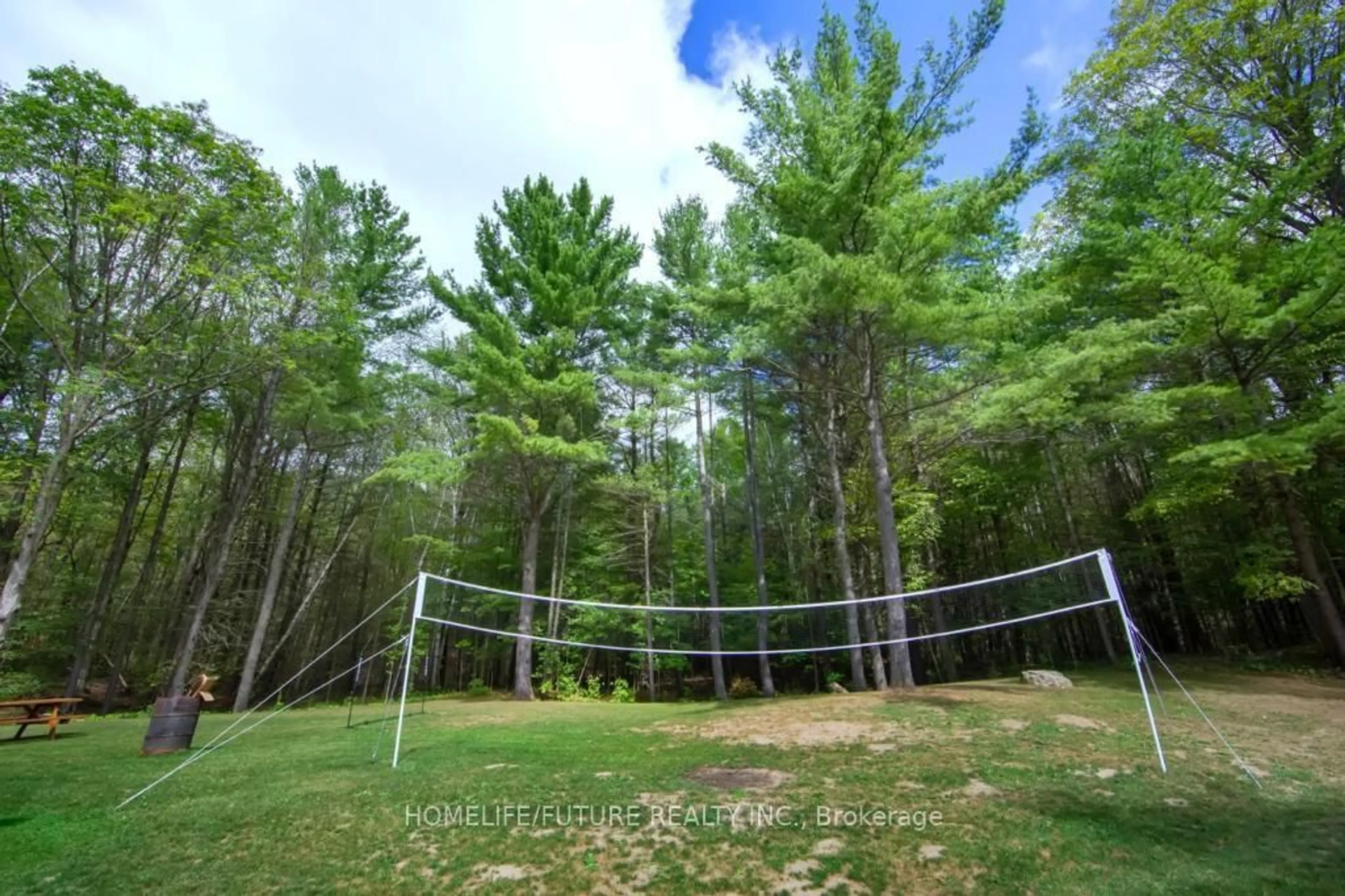 A pic from outside/outdoor area/front of a property/back of a property/a pic from drone, forest/trees view for 1559 North Belmont Concession, Havelock-Belmont-Methuen Ontario K0L 1Z0