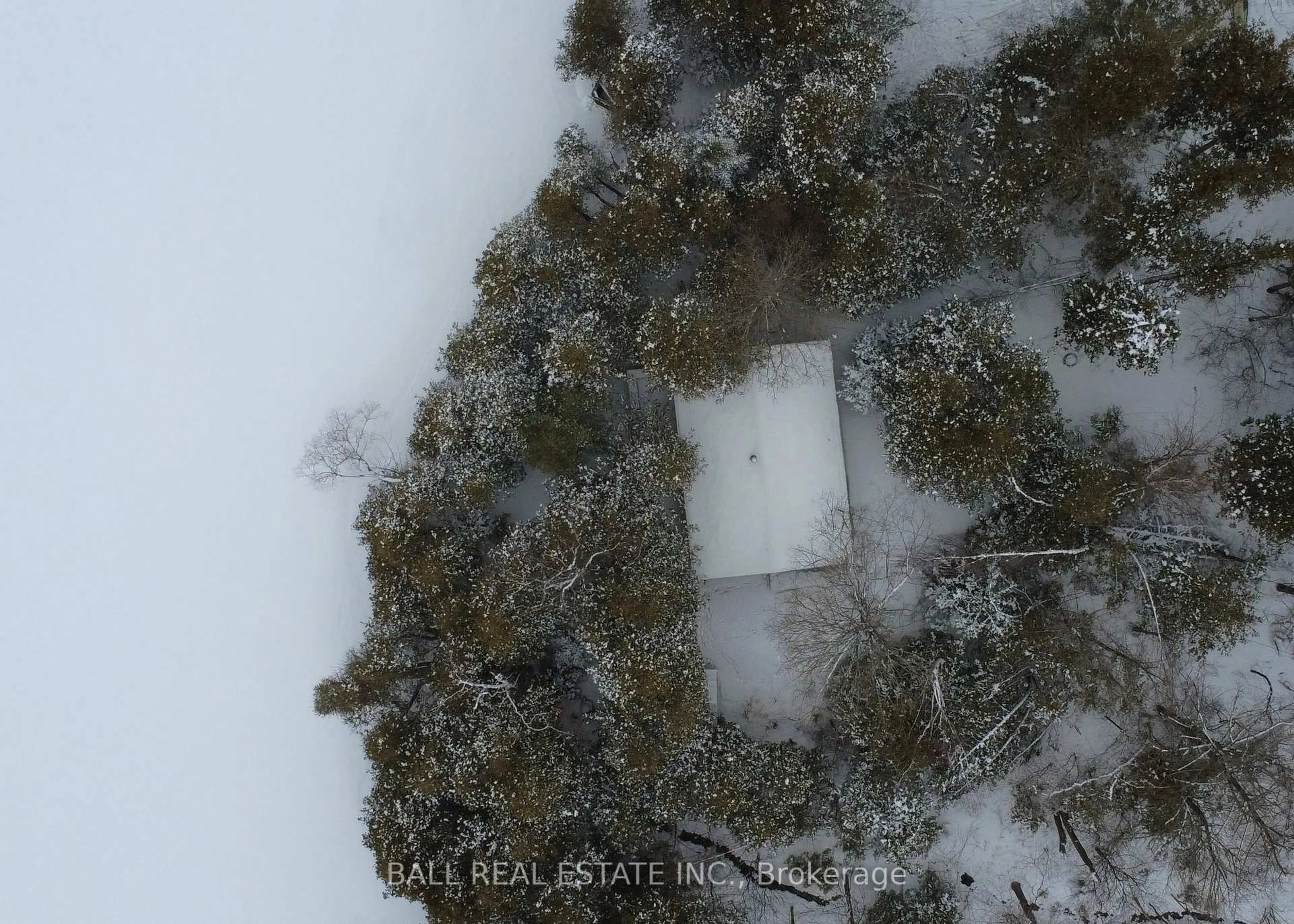 A pic from outside/outdoor area/front of a property/back of a property/a pic from drone, forest/trees view for 127 Fire Route 42, Trent Lakes Ontario K0L 1J0