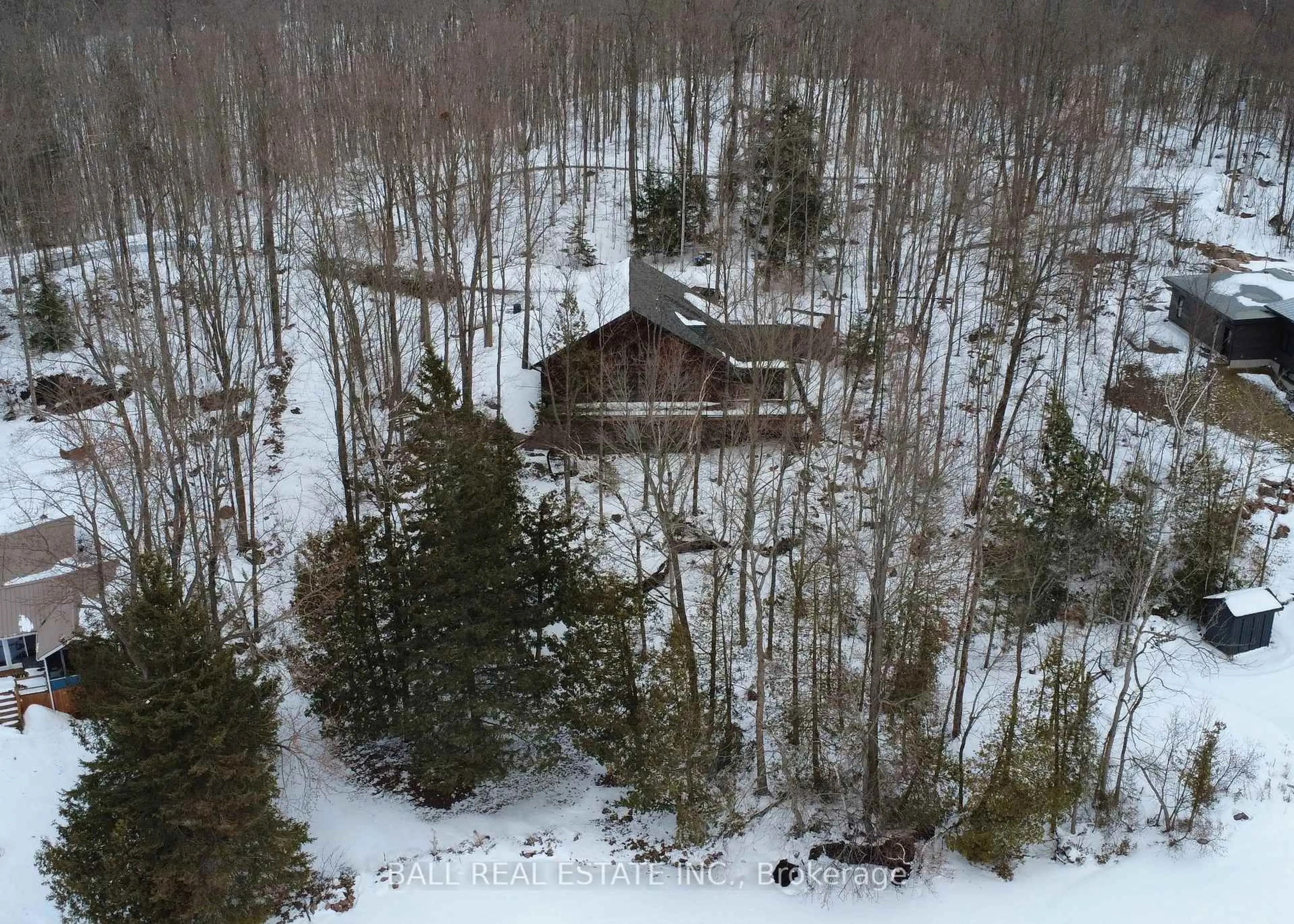 A pic from outside/outdoor area/front of a property/back of a property/a pic from drone, forest/trees view for 3186 Buckhorn Lane, Selwyn Ontario K0L 2H0