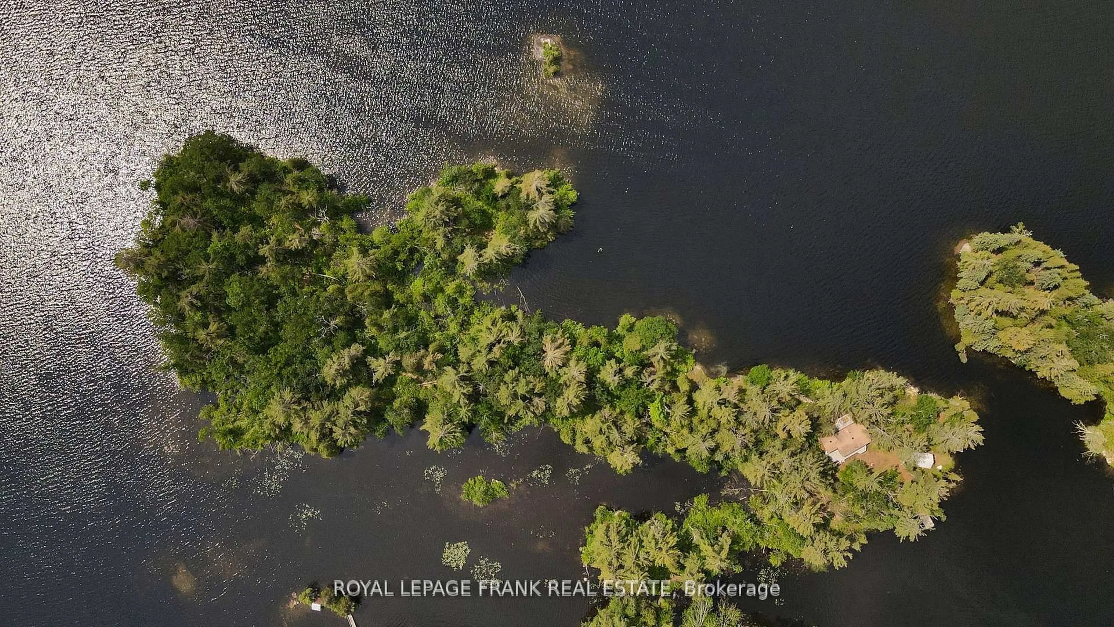 A pic from outside/outdoor area/front of a property/back of a property/a pic from drone, water/lake/river/ocean view for 2295 Stony Lake Isl 17, North Kawartha Ontario K0L 2H0