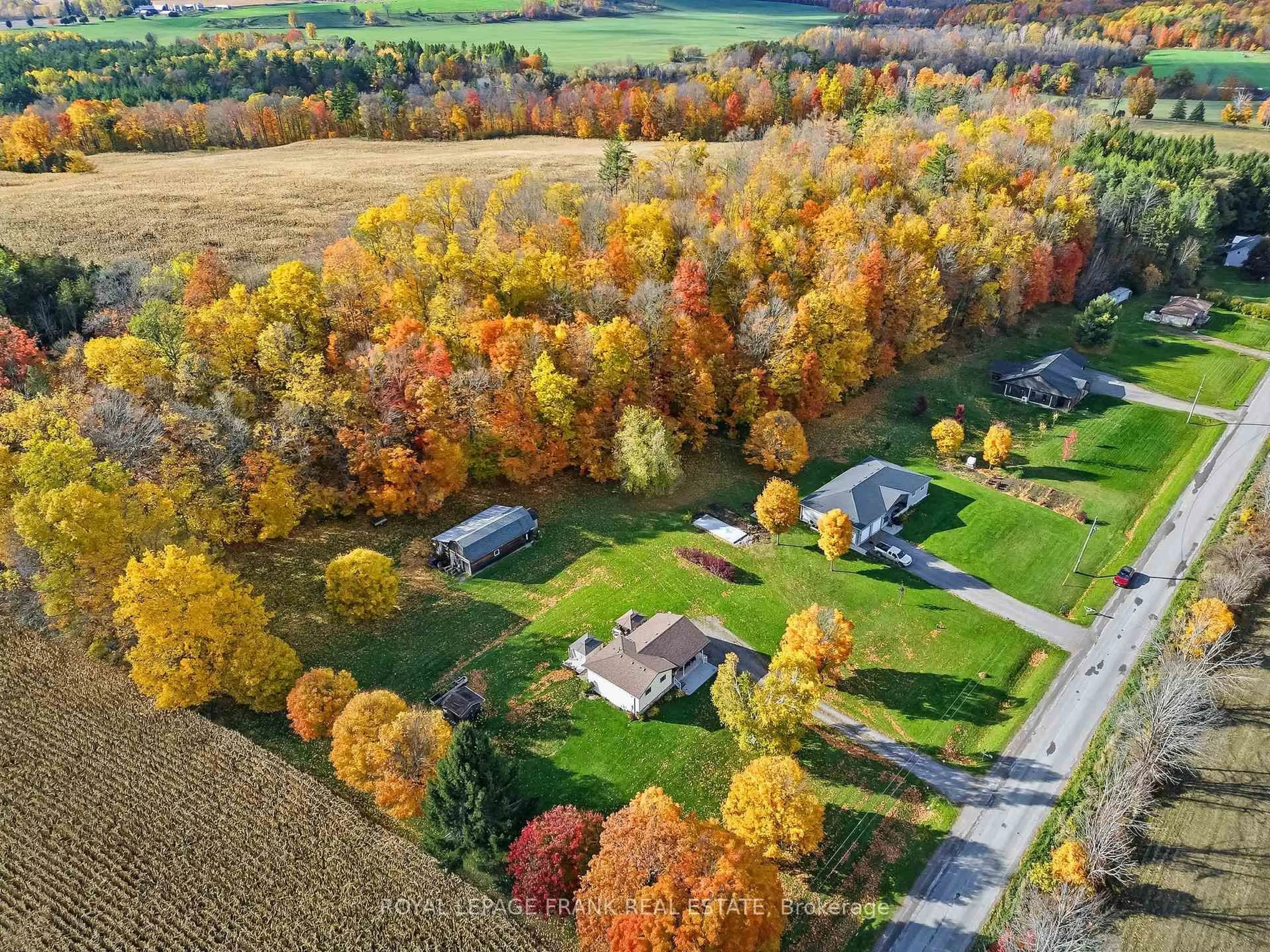 A pic from outside/outdoor area/front of a property/back of a property/a pic from drone, forest/trees view for 64 Skinkle Rd, Trent Hills Ontario K0K 3K0