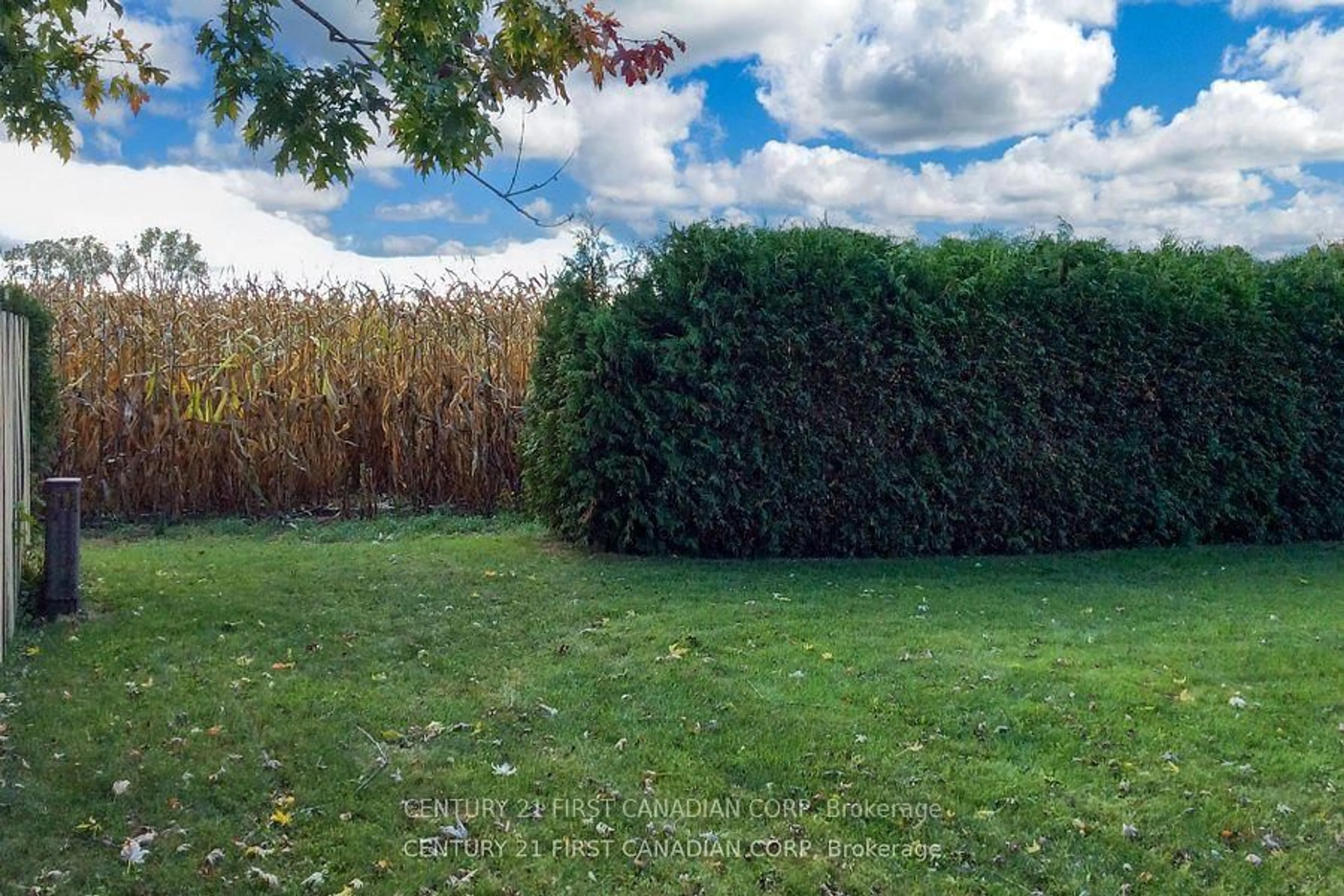 A pic from outside/outdoor area/front of a property/back of a property/a pic from drone, forest/trees view for 106 Angelo Dr, West Elgin Ontario N0L 2P0